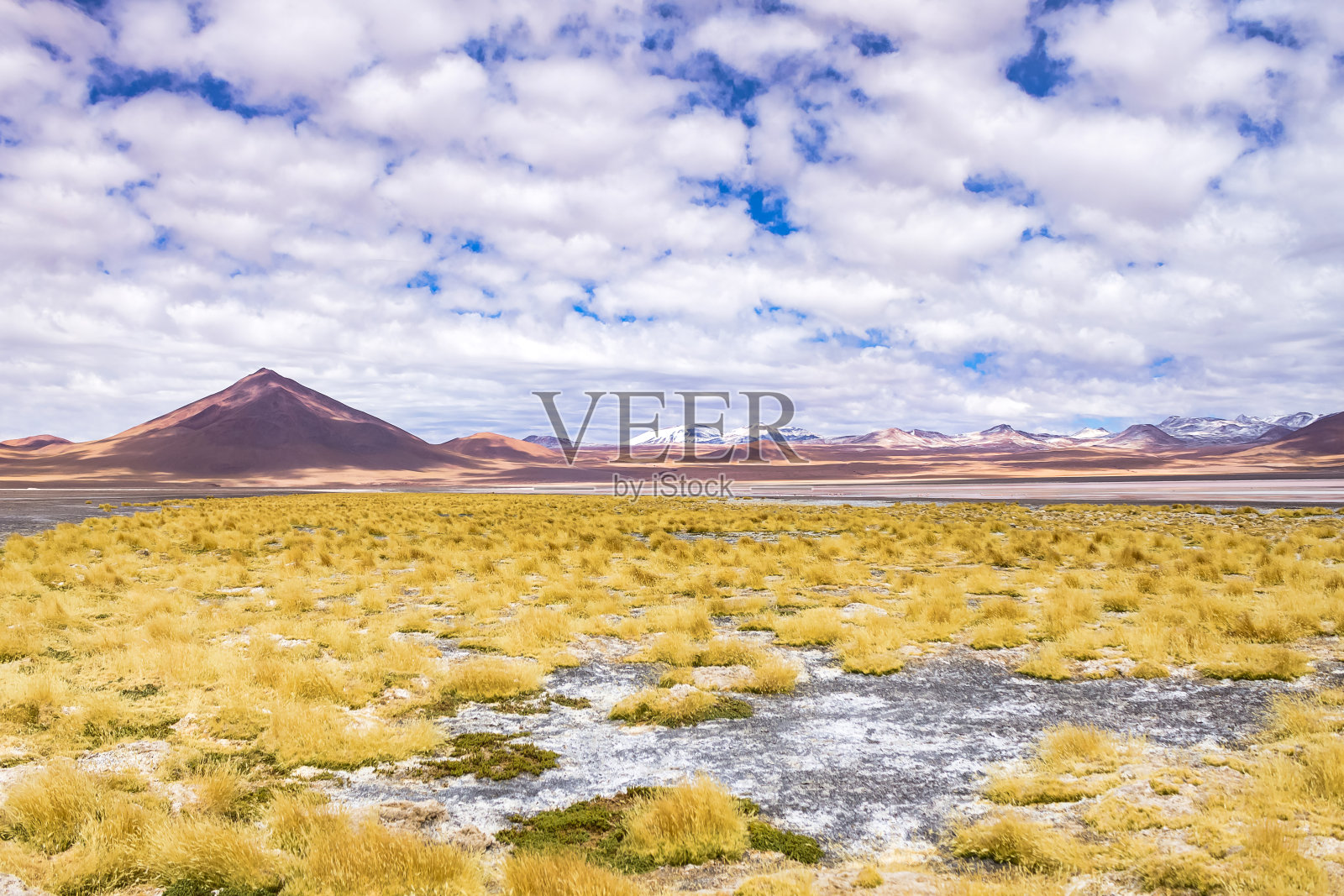 拉古纳科罗拉多湖的景观照片与干植被在安第斯山脉的背景。自然荒野中的玻利维亚风景。玻利维亚自然地标概念。复制广告文字空间,海报照片摄影图片