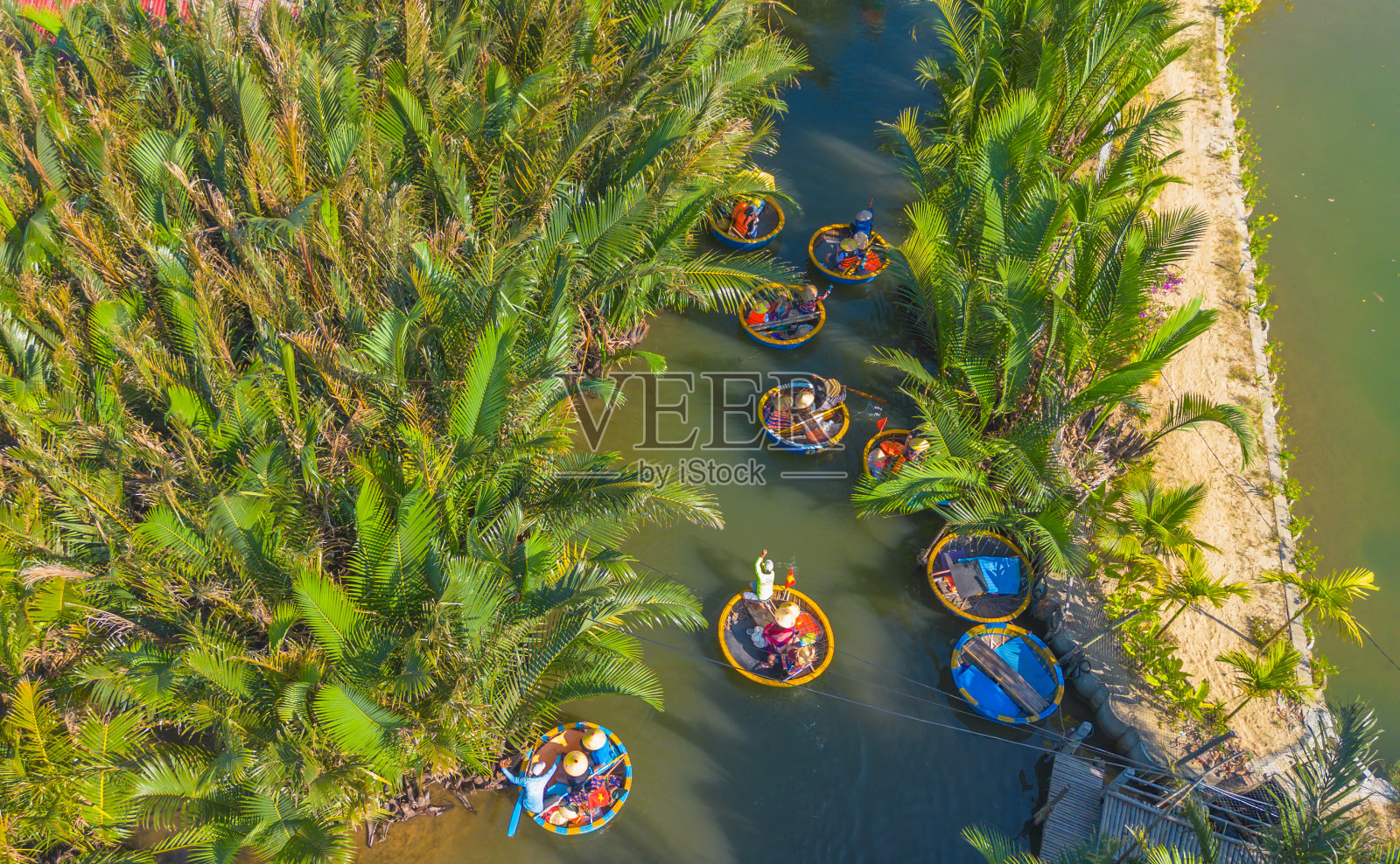 鸟瞰在越南会安Cam Thanh村的椰子篮船之旅。照片摄影图片