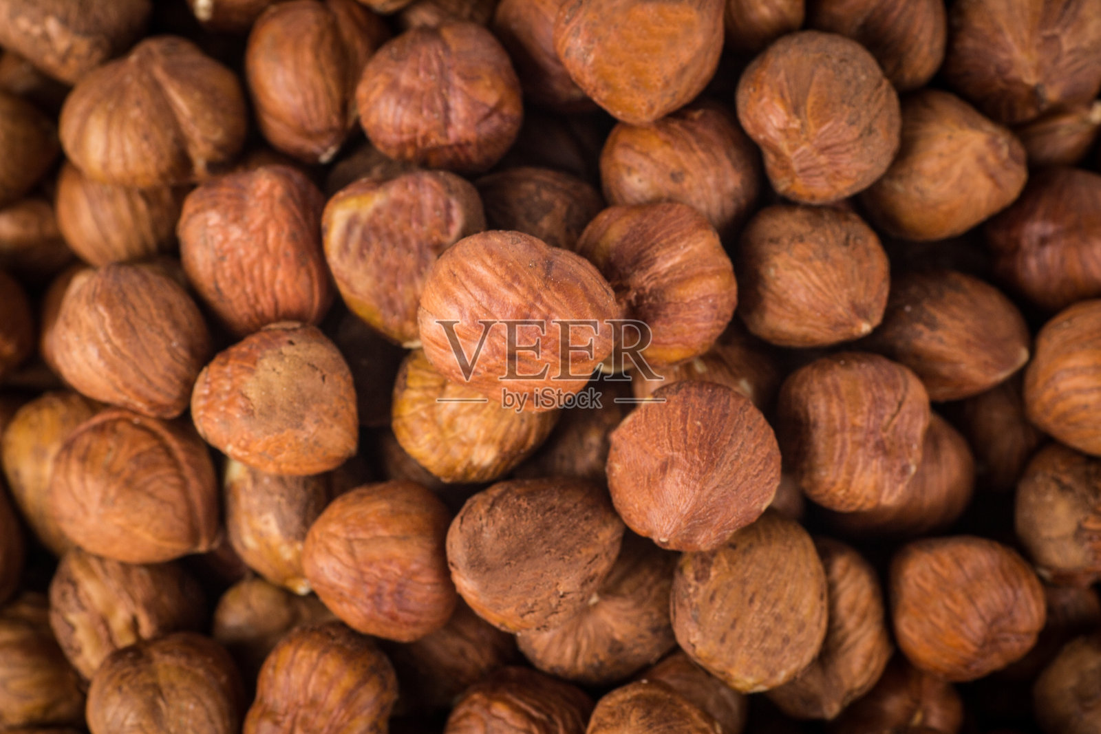 白色背景上的榛子照片摄影图片