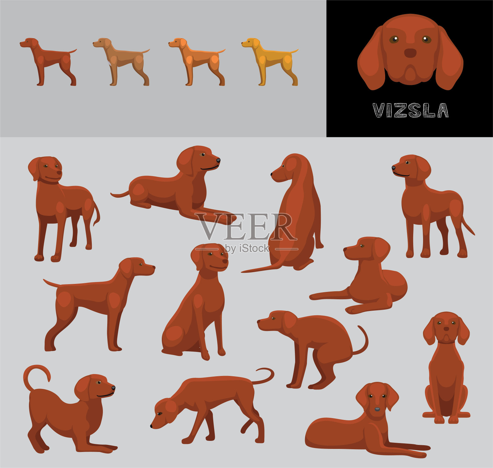 狗维兹拉卡通矢量插图颜色变化集红色外套插画图片素材