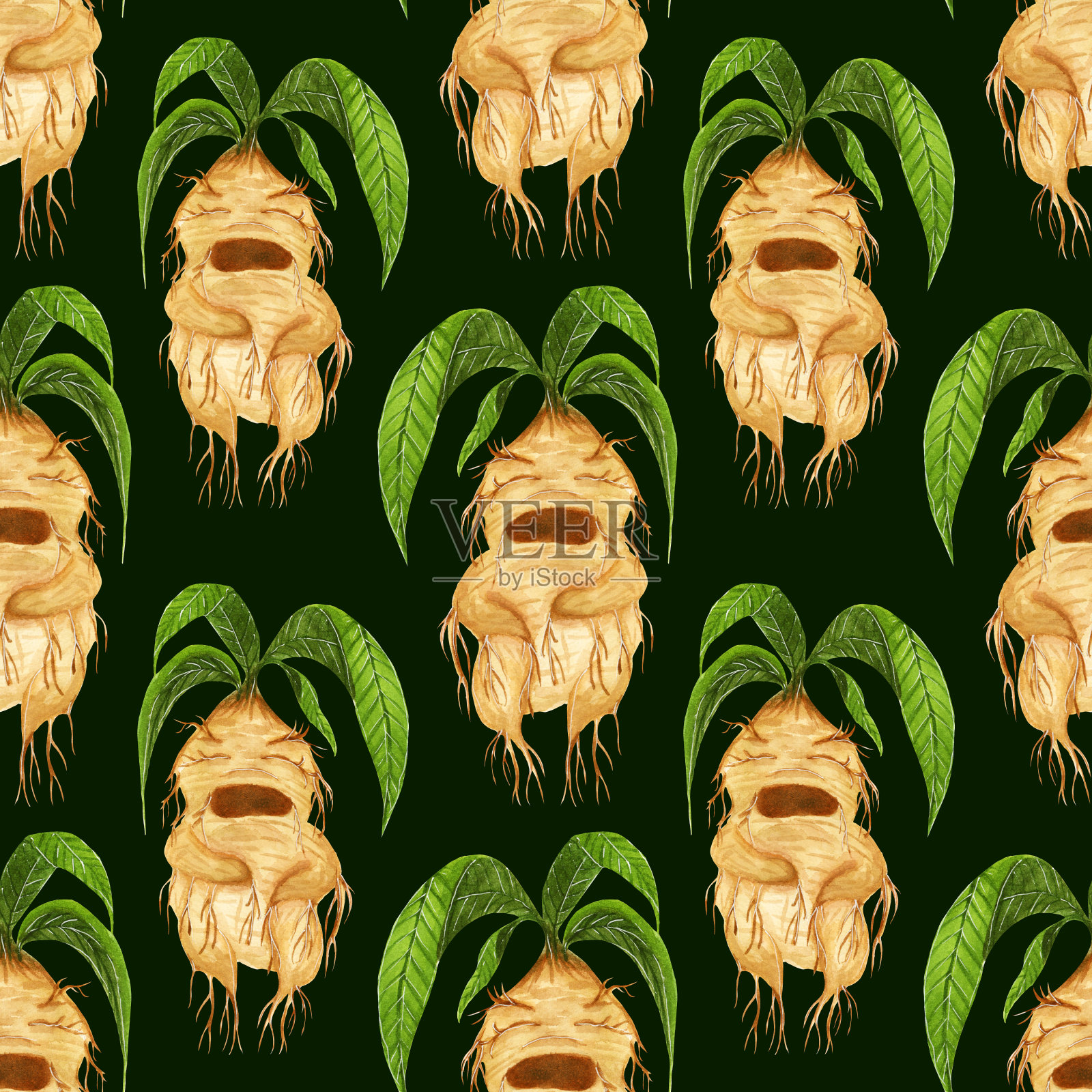 水彩无缝图案,魔法曼德拉根与绿叶,在黑暗的背景。插画图片素材