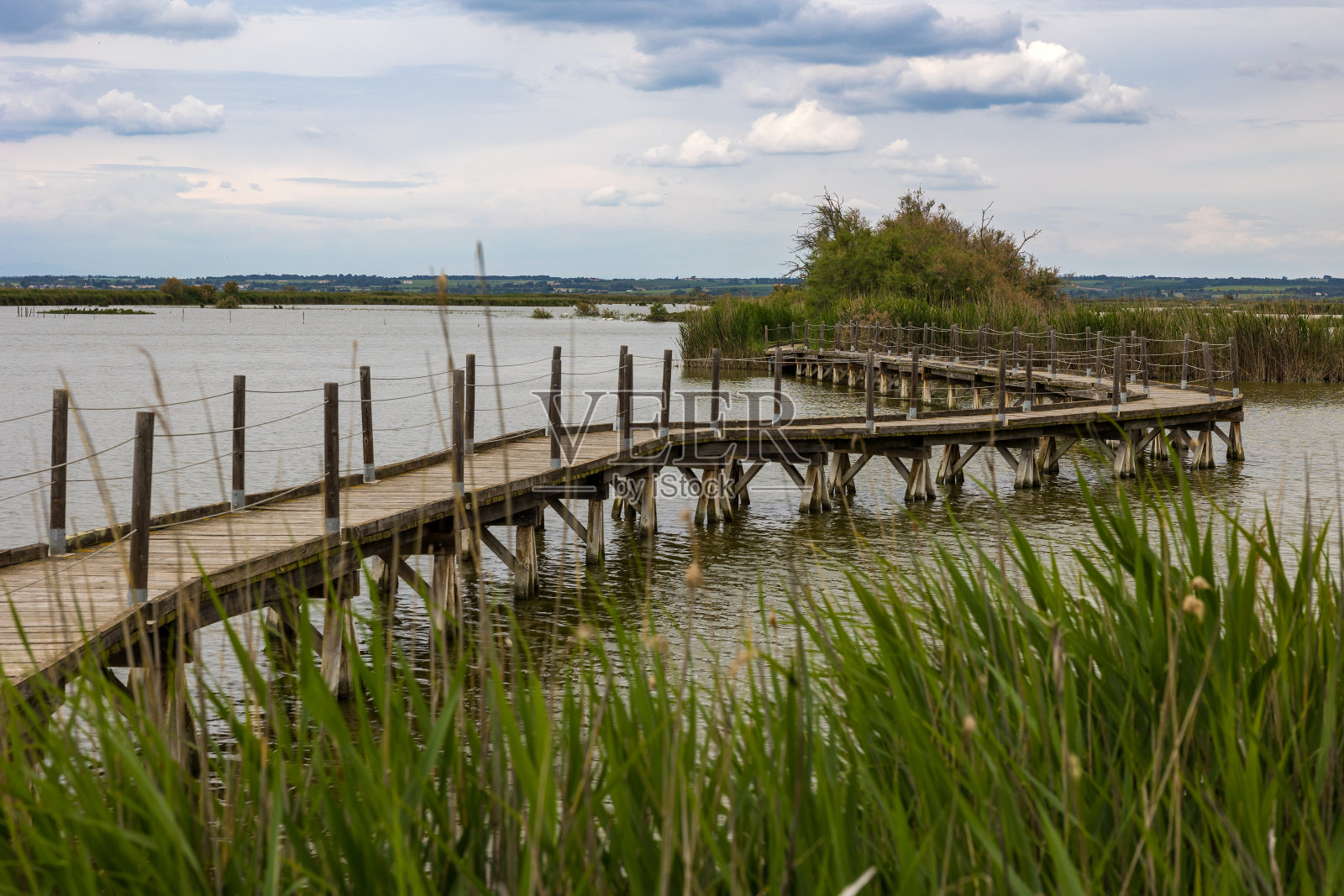 斯坎安德烈池塘上的高跷小径,生物多样性丰富照片摄影图片