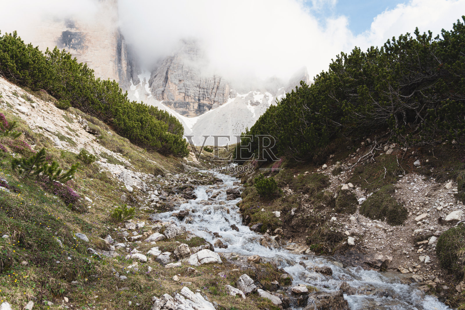 山谷里的小溪,白云笼罩下的拉瓦雷多树照片摄影图片