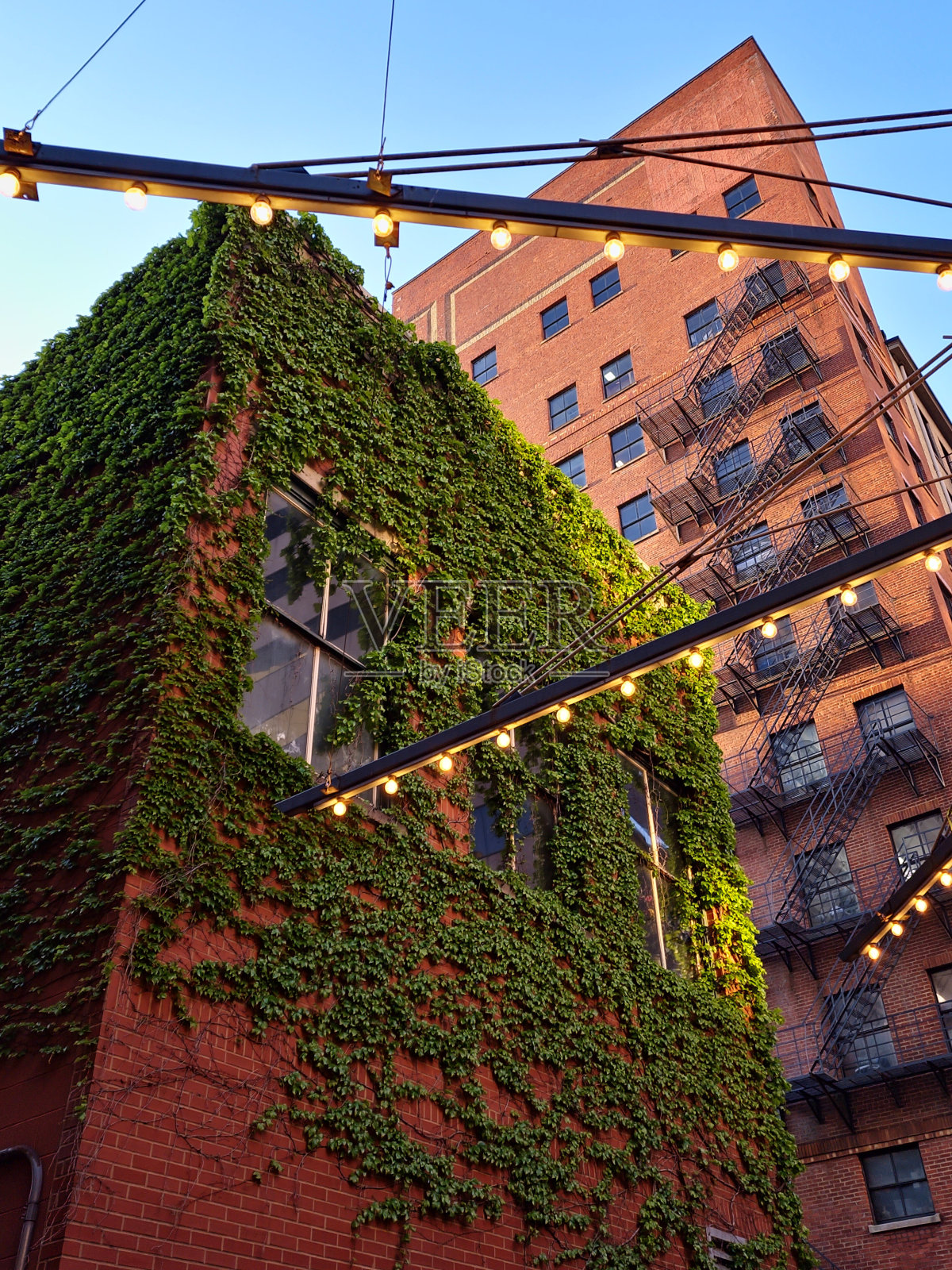 大自然接管了一切照片摄影图片