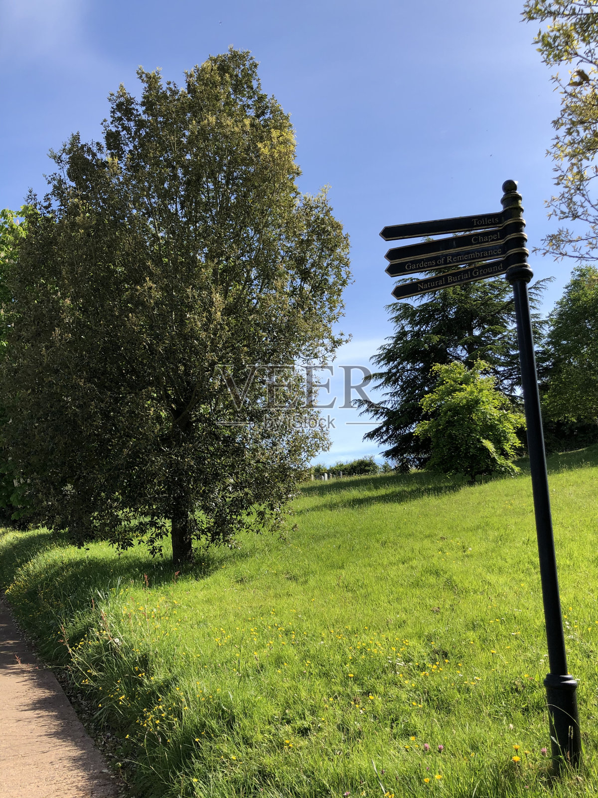 埃克威克公墓-树木和周围地区照片摄影图片