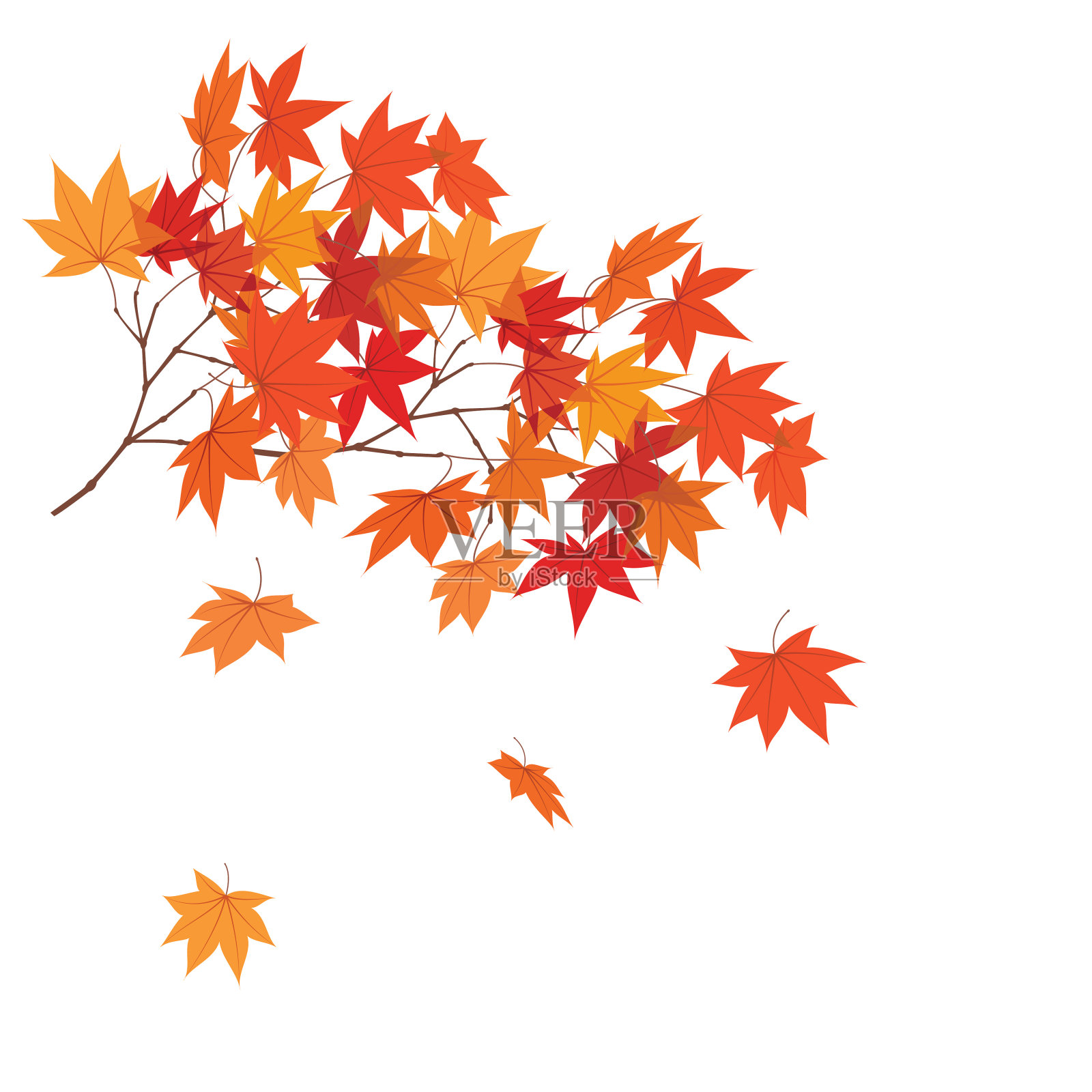 秋叶飘落插画图片素材