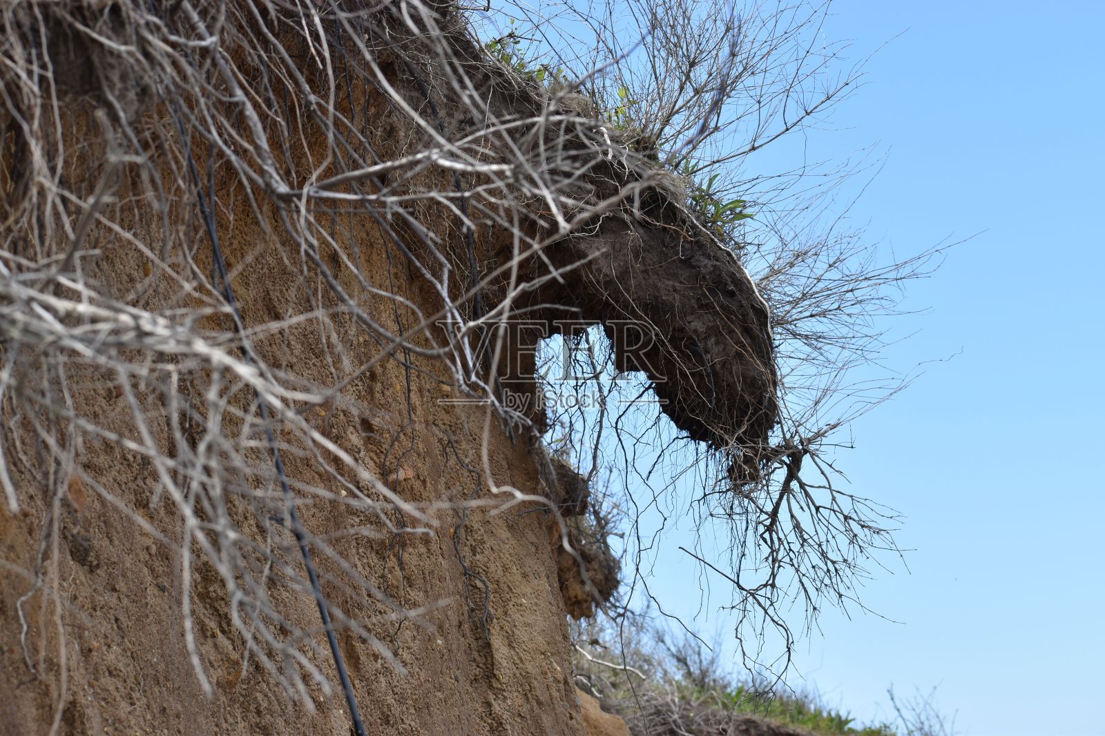 这是一堆深棕色土壤的特写照片,背景是明亮的蓝天照片摄影图片