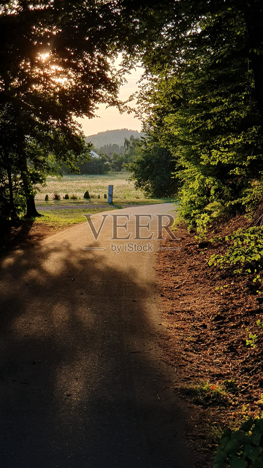 摩拉维亚森林的日落照片摄影图片