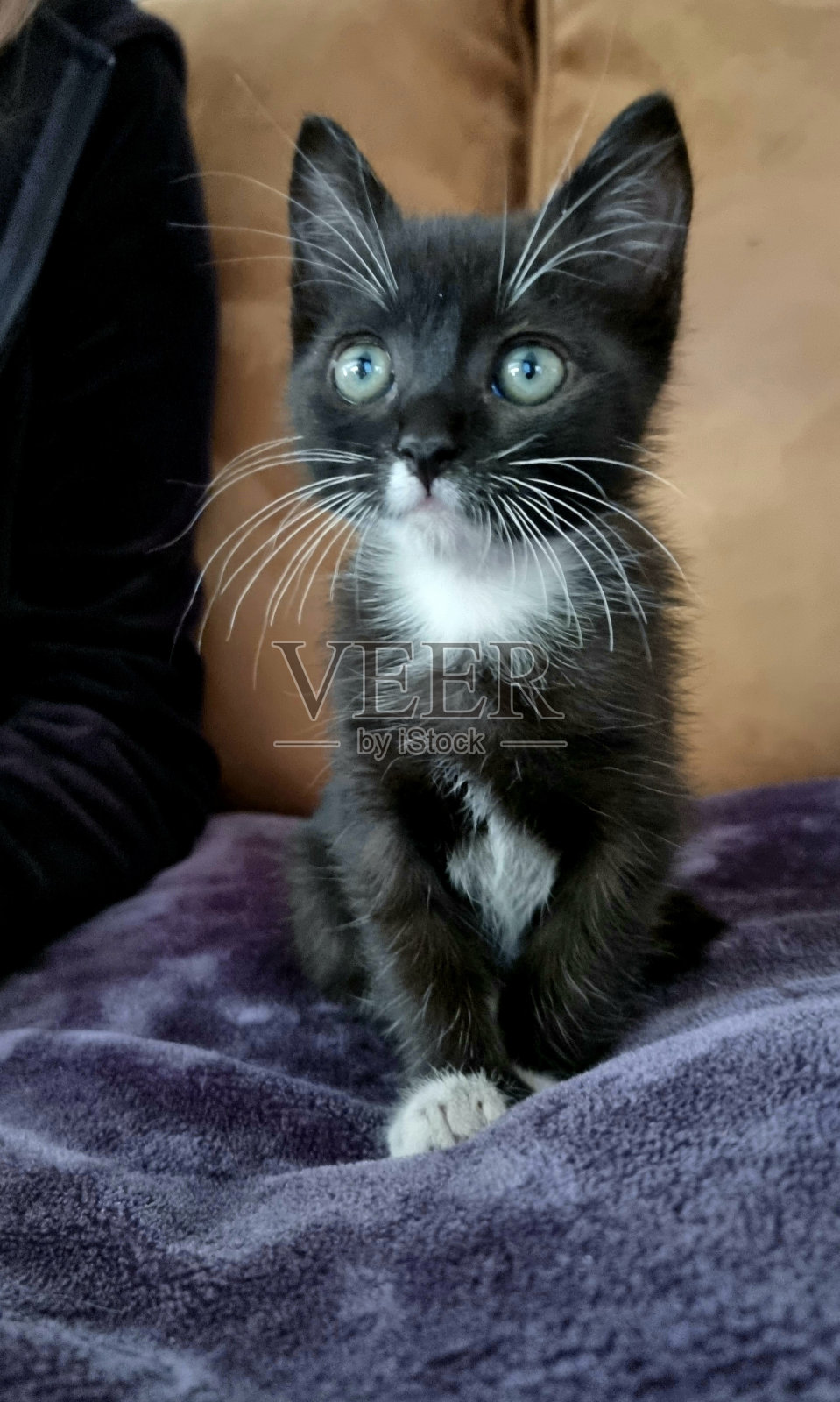 眼睛照片摄影图片