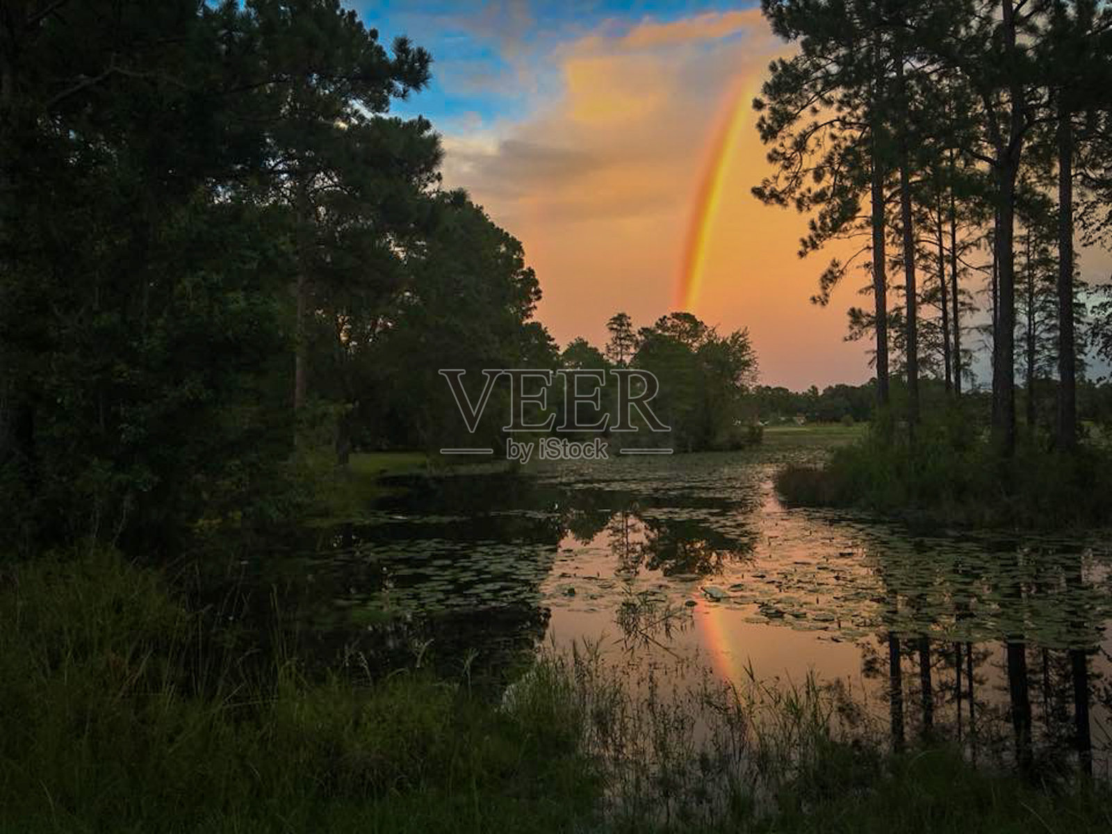 美照片摄影图片