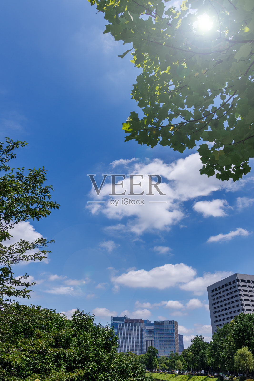 美丽的蓝色天空和城市建筑照片摄影图片