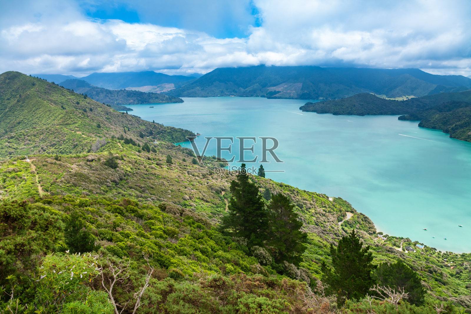 Kenepuru Sound新西兰南岛马尔伯勒照片摄影图片