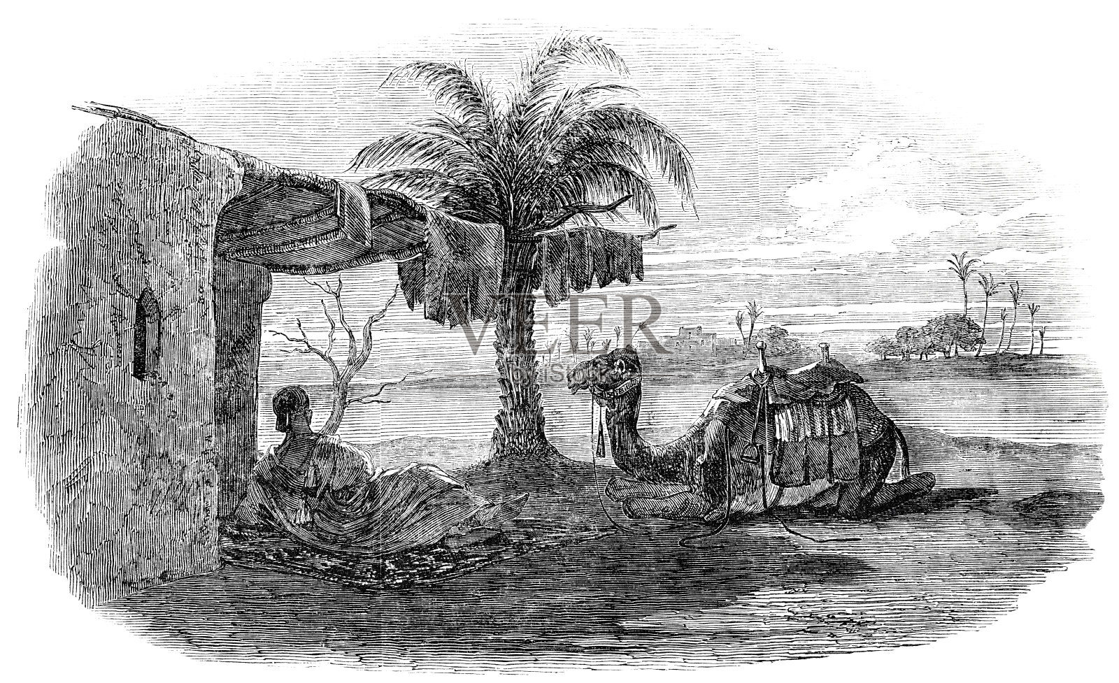 沙漠午间避难所插画图片素材