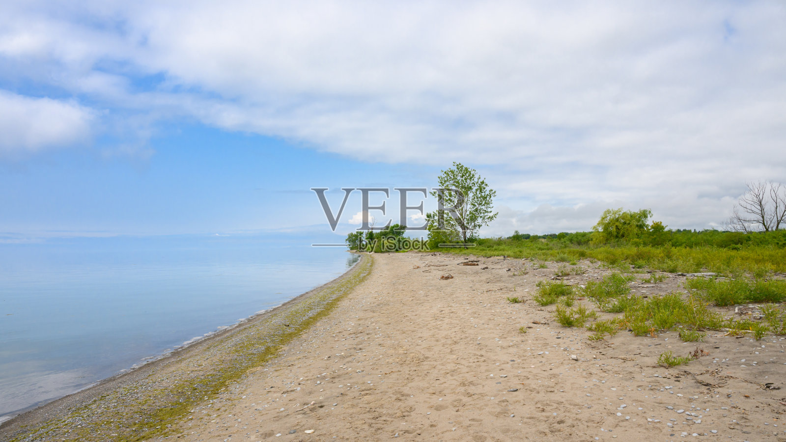 加拿大安大略湖达灵顿公园的沙滩照片摄影图片