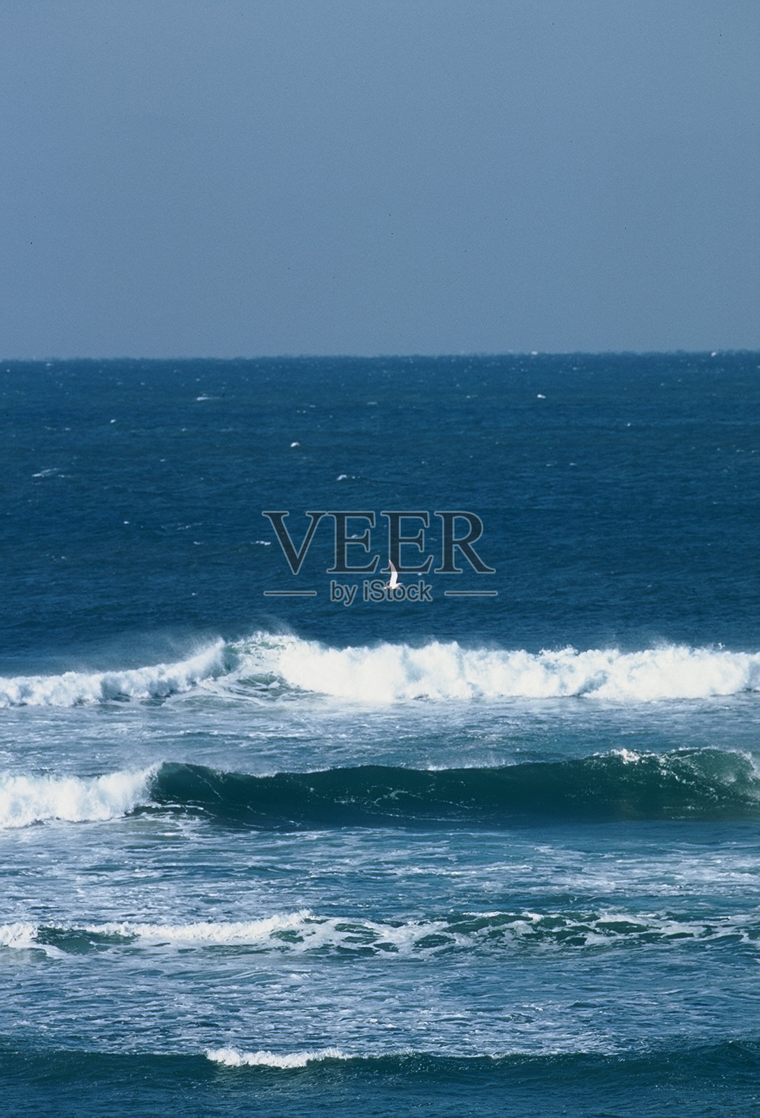 大西洋海岸的沙滩和沙丘照片摄影图片