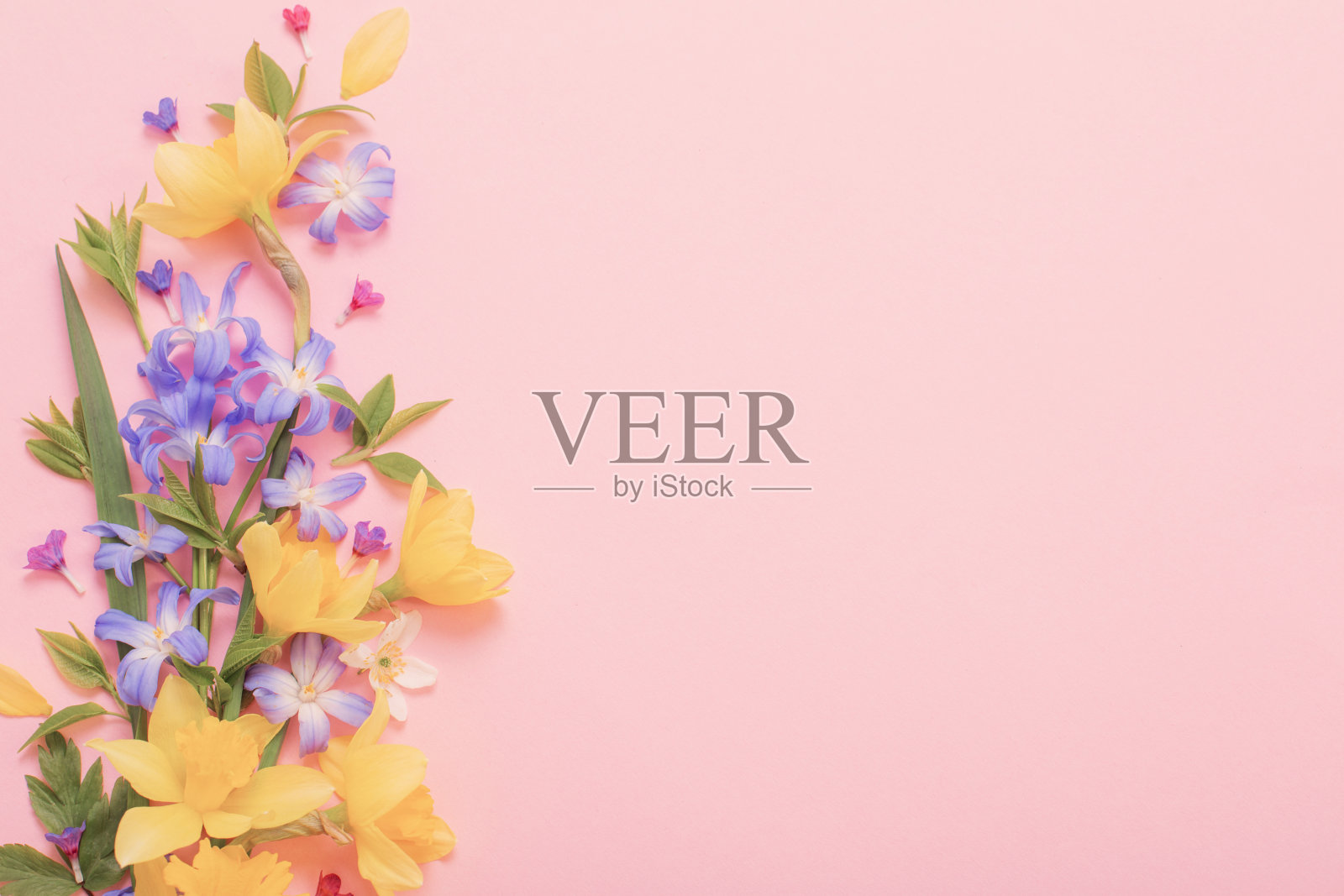 春天的花朵在粉红色的纸的背景照片摄影图片