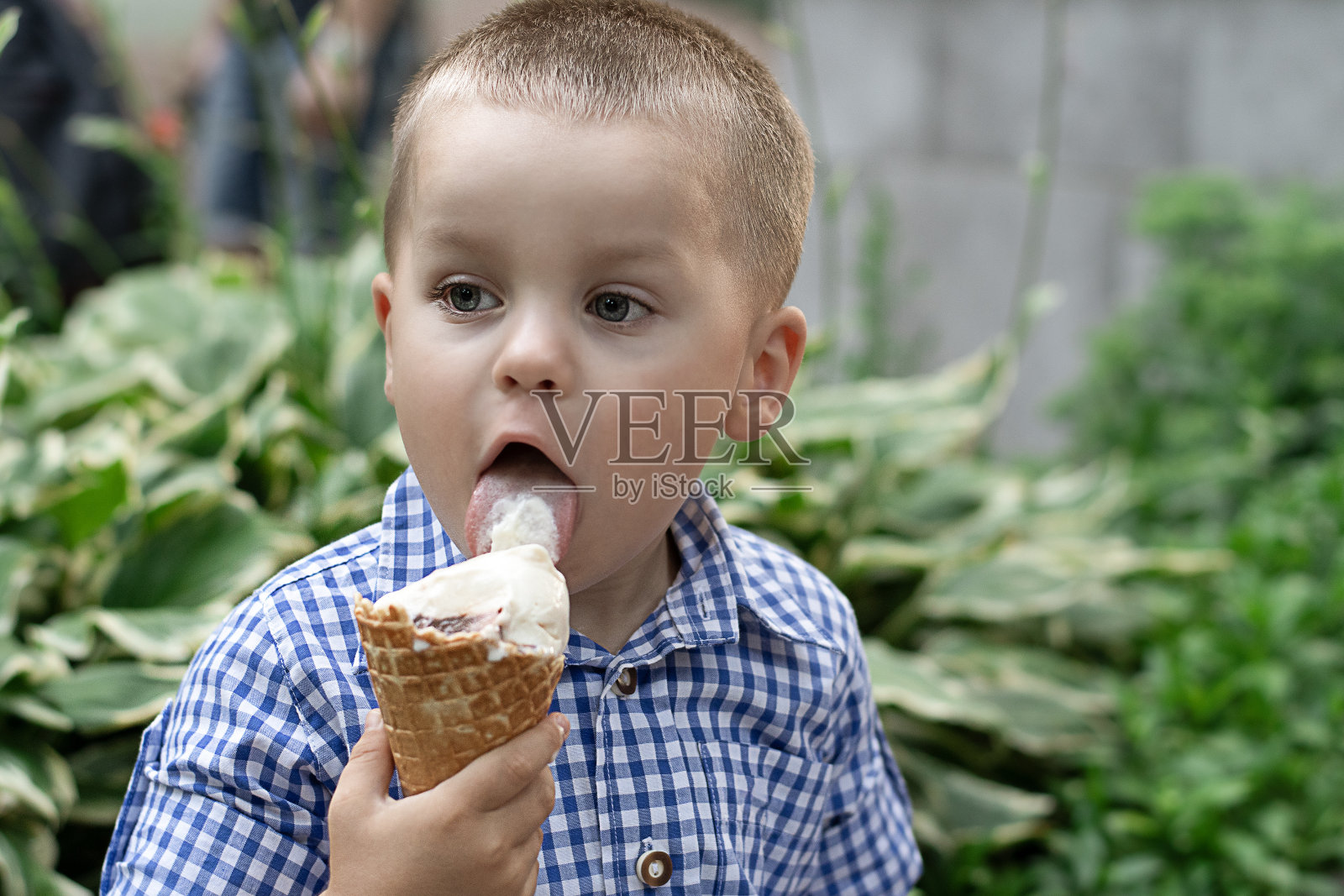 夏日里,公园的街道上,一个美丽的、金发的4岁男孩,兴高采烈地用舌头舔着华夫饼杯里的冰淇淋。特写镜头。照片摄影图片