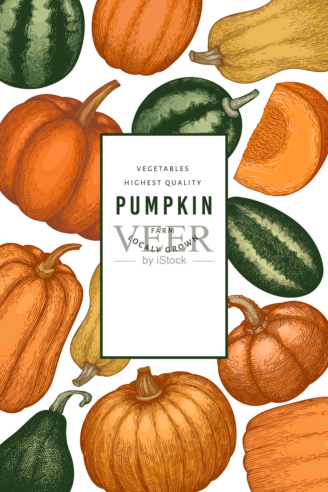 南瓜颜色设计模板手绘插画图片素材