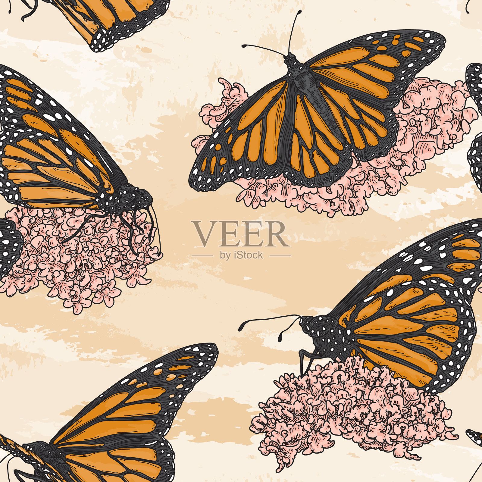 复古线艺术帝王蝶在马利筋图案插画图片素材