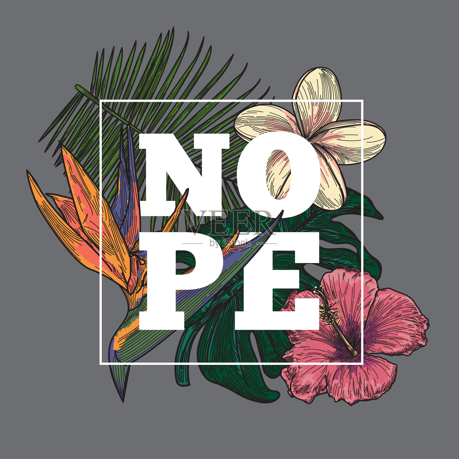 热带花设计插画图片素材