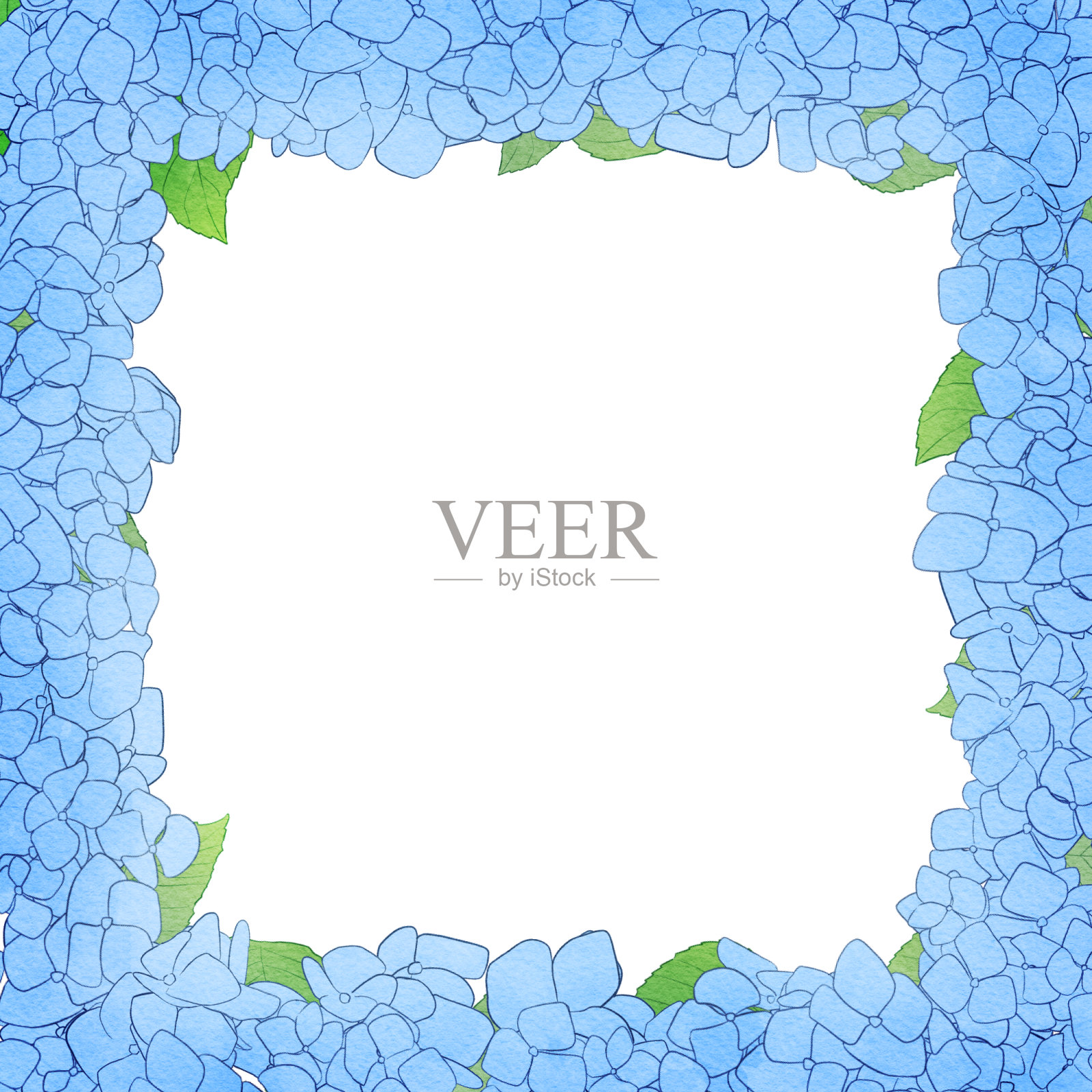 美丽的水彩绣球背景插图插画图片素材