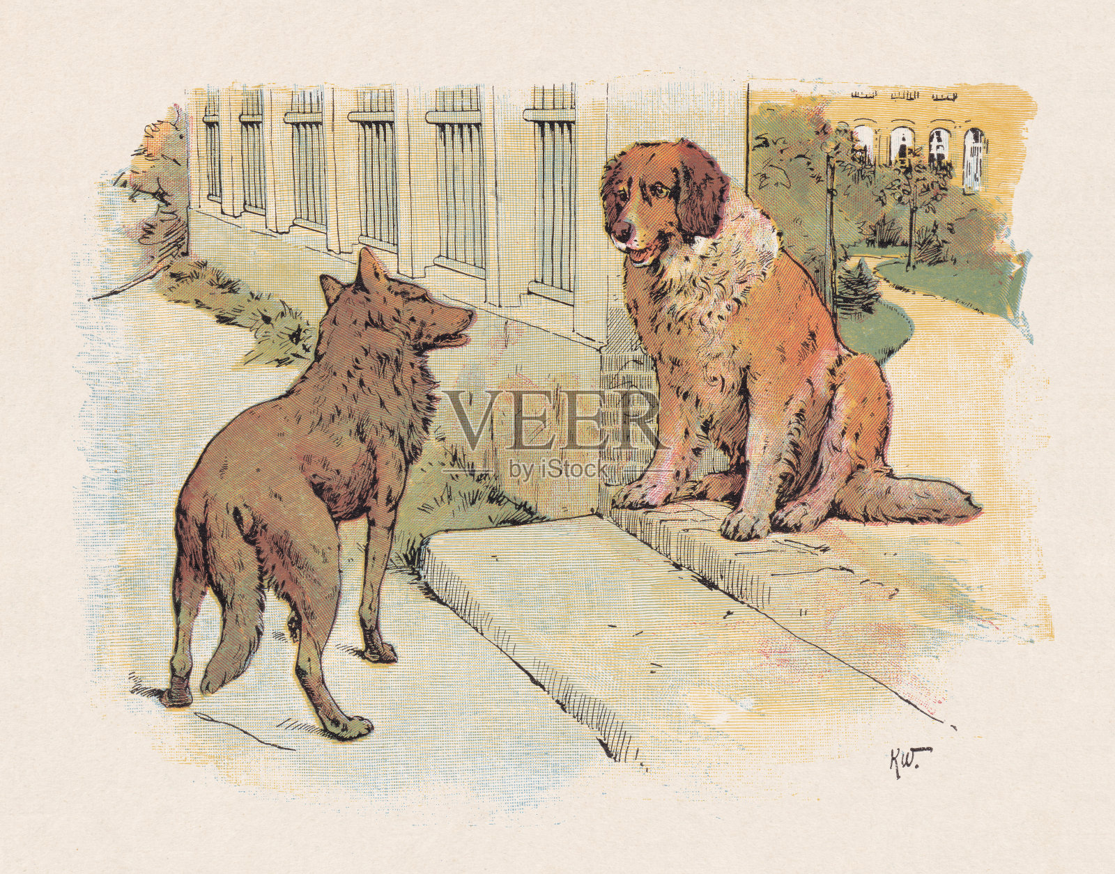《狼与狗》,彩色木刻,1897年出版插画图片素材