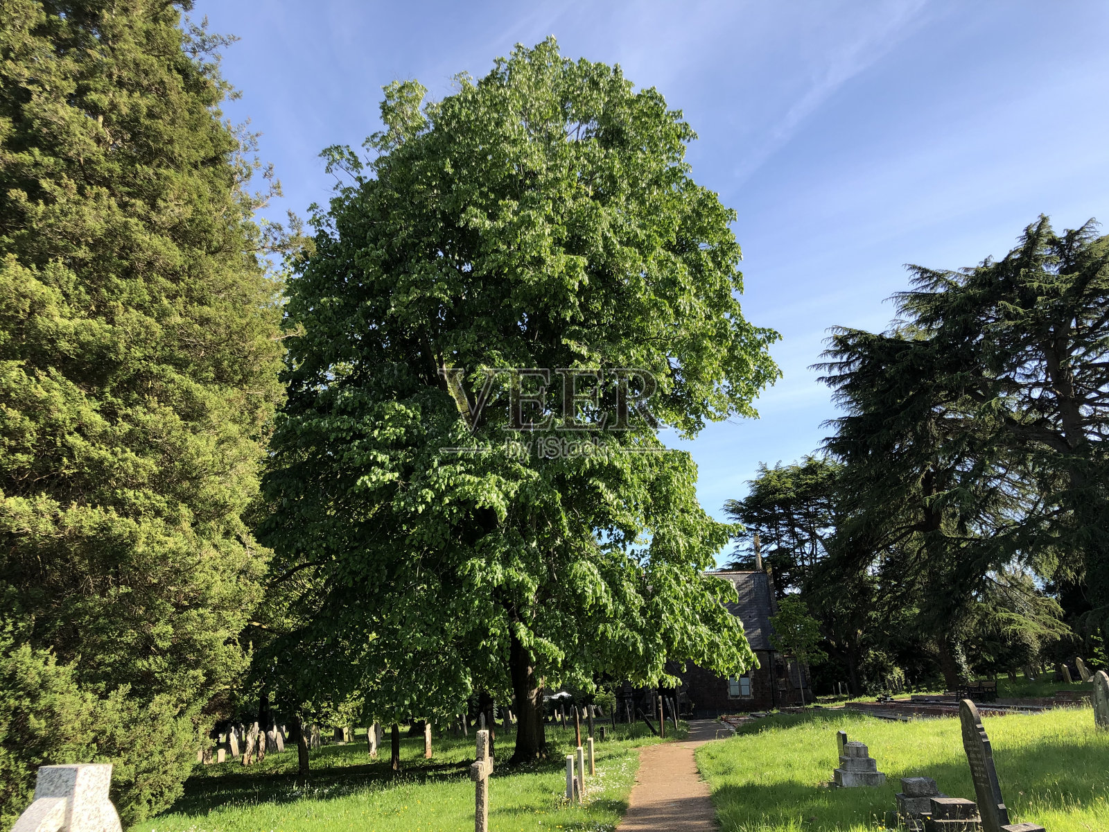 埃克威克公墓-树木和周围地区照片摄影图片