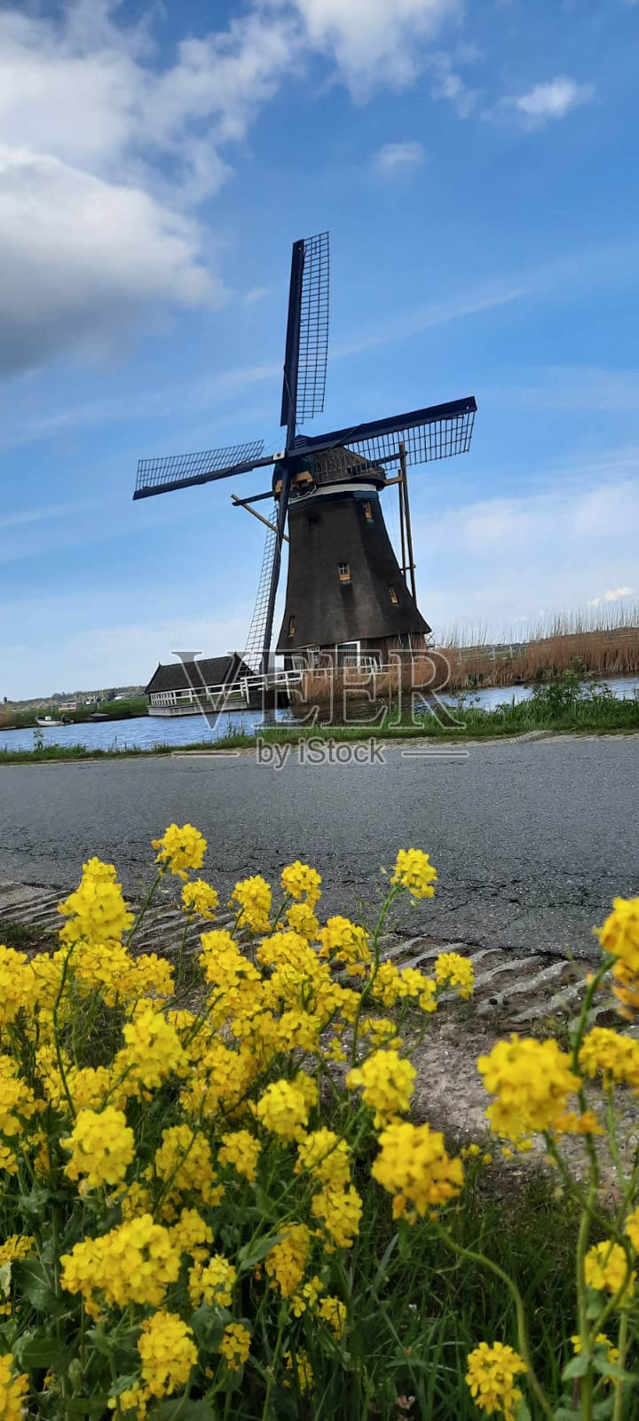 荷兰的风车照片摄影图片