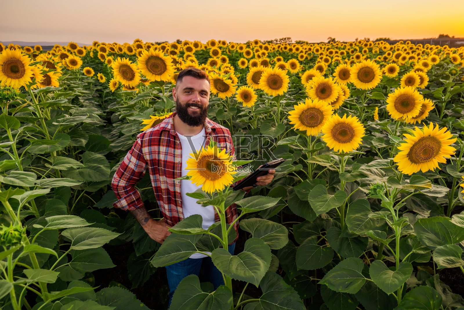 农业职业照片摄影图片