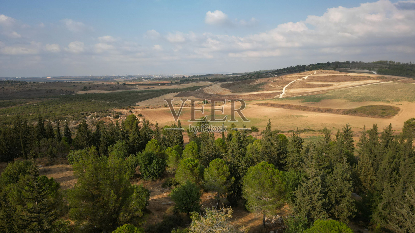 在阳光明媚的日子里,群山被绿树覆盖的鸟瞰图照片摄影图片