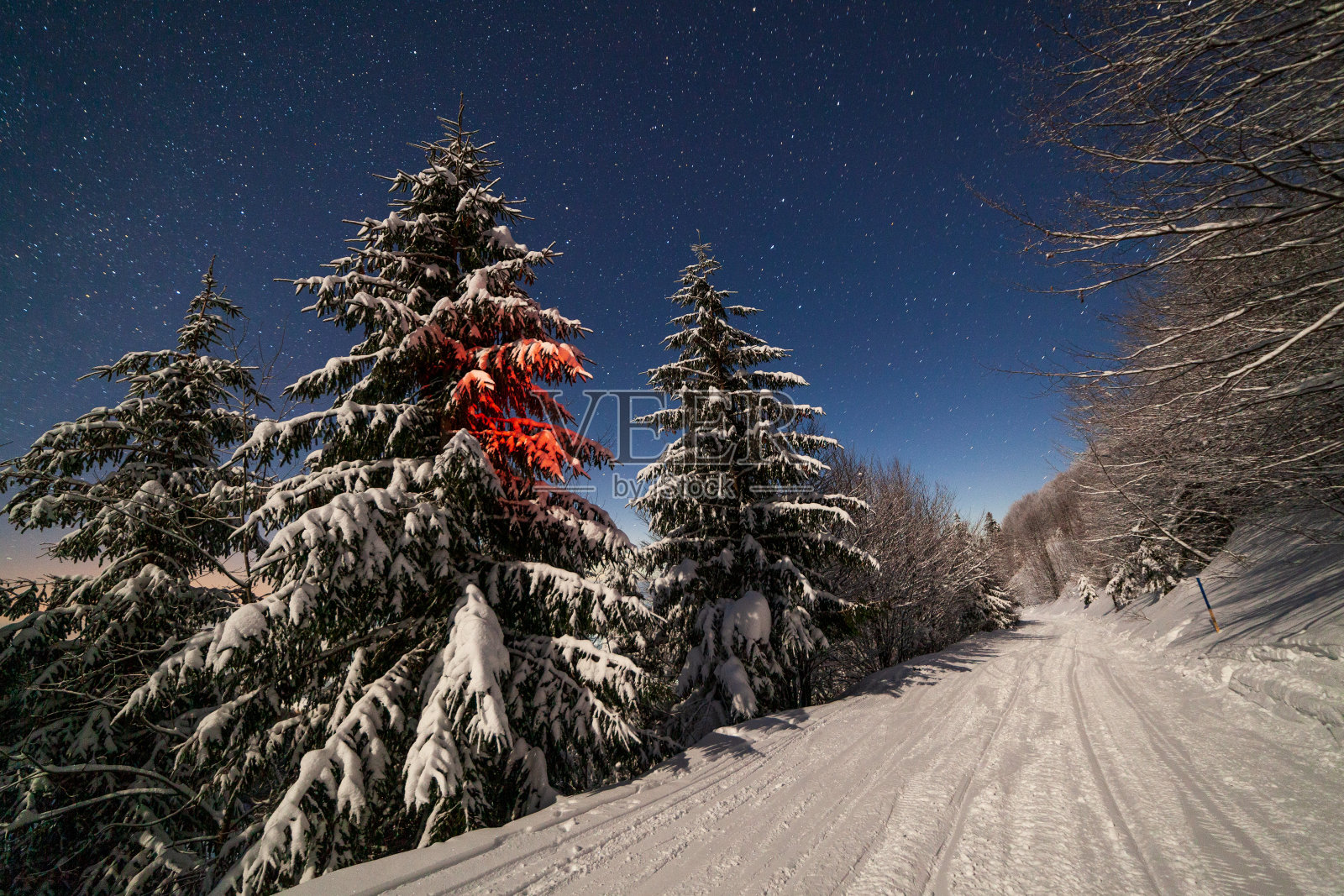 冬季山上的壮丽星空。夜景。在月光下,高大的冷杉树非常美丽。喀尔巴阡山,乌克兰,欧洲。照片摄影图片