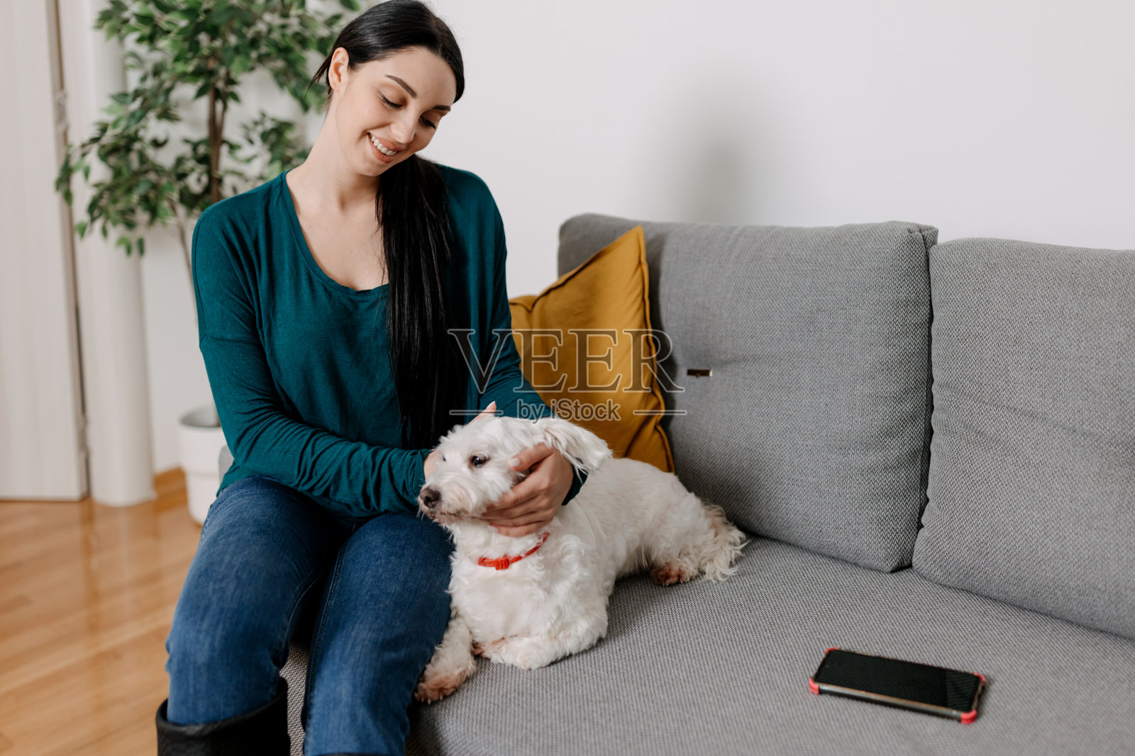 年轻女子喜欢和她的小马尔济斯犬坐在沙发上照片摄影图片