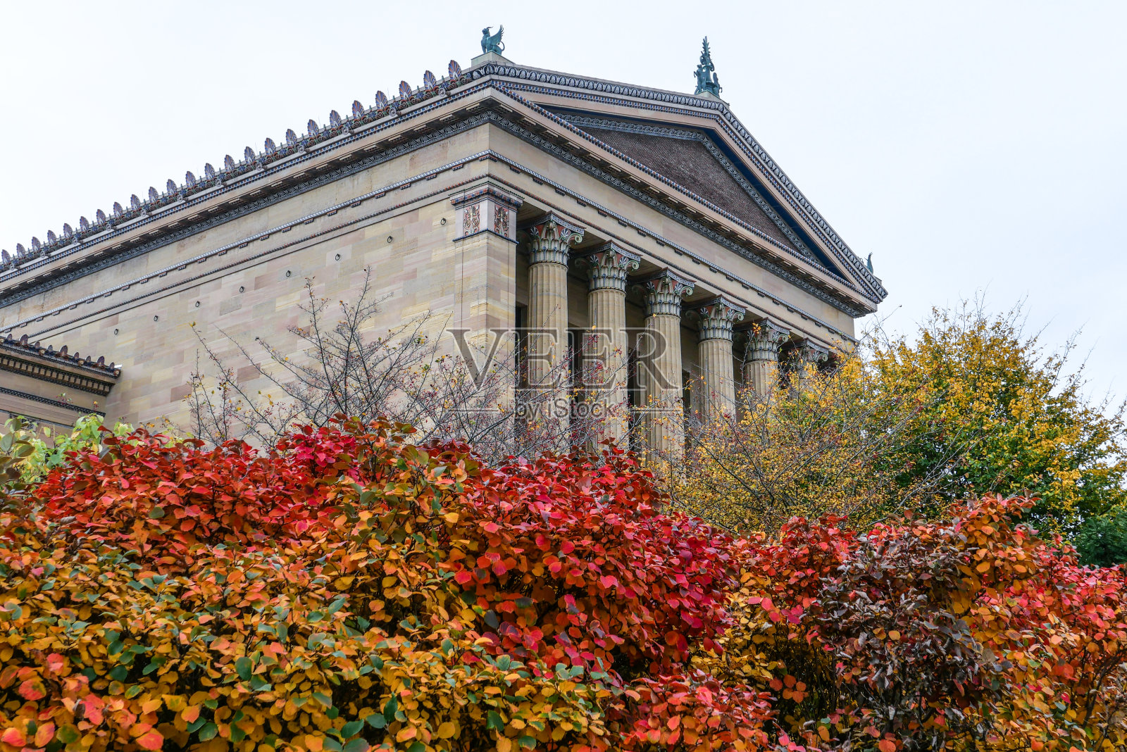 费城的秋天照片摄影图片