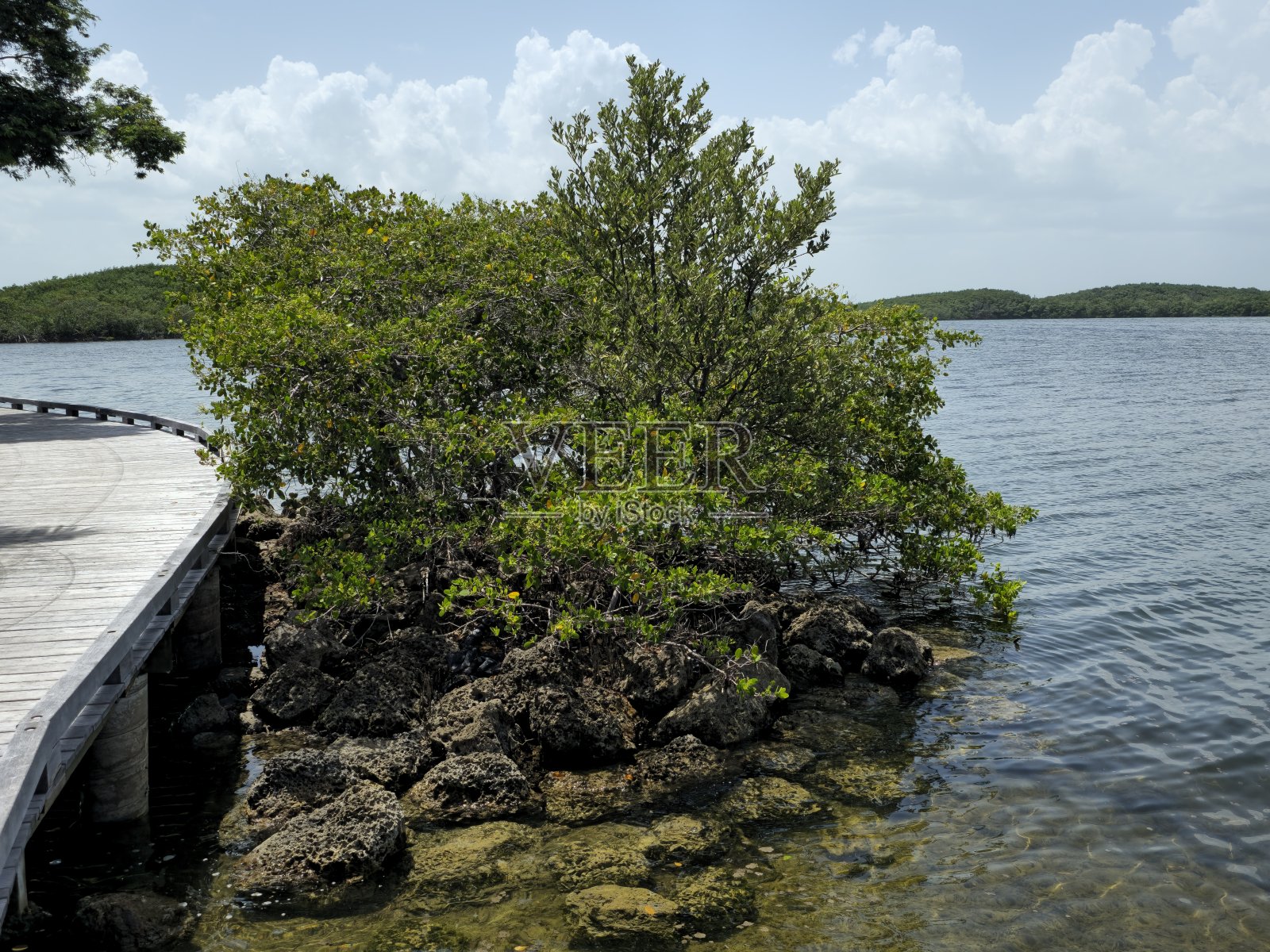 比斯坎国家公园照片摄影图片