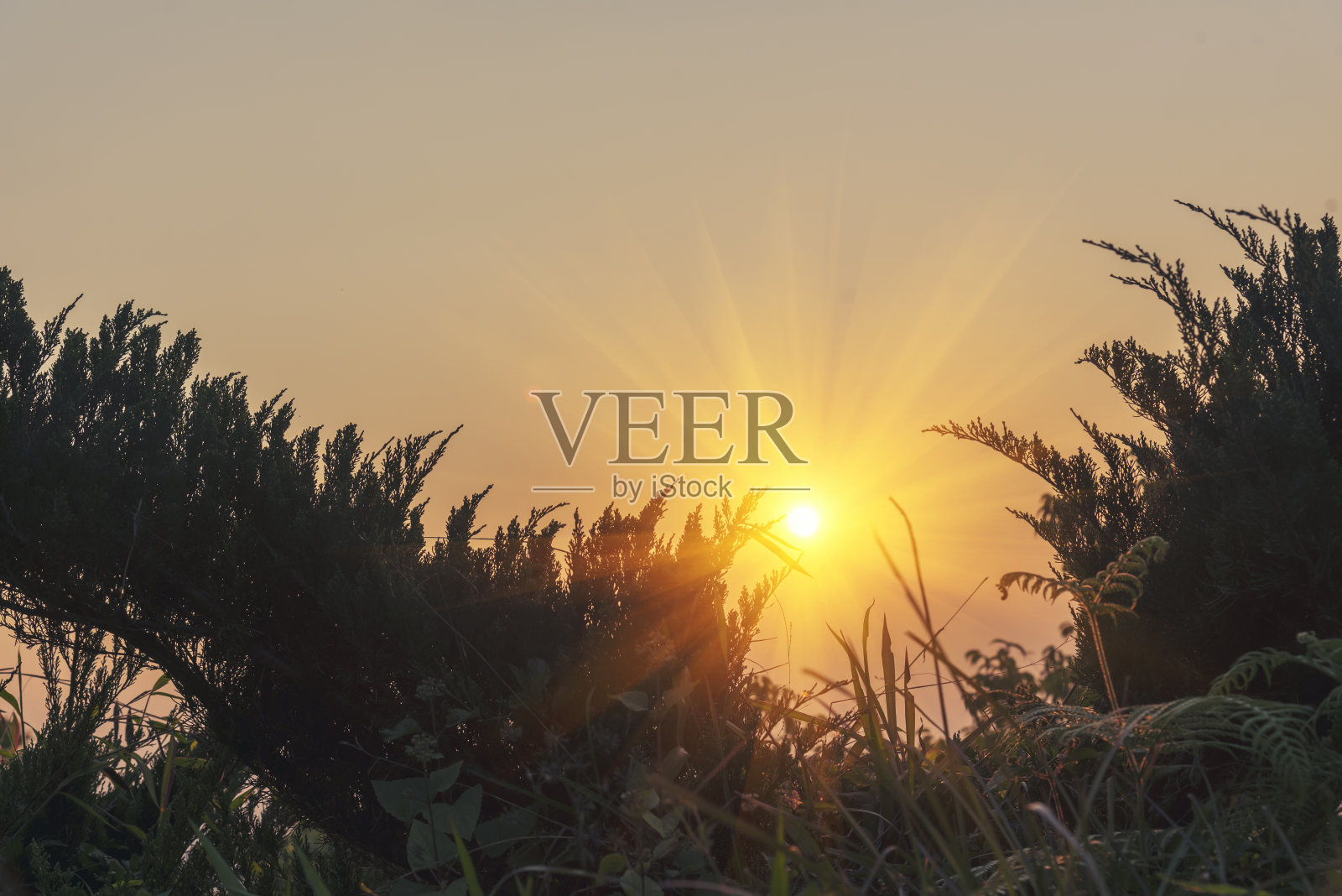 风景秀丽,日落壮观,天空美丽。自然日落日出草地剪影黑暗的土地。充满活力的戏剧性天空日落,黎明,日出在农村。日落时五彩缤纷的天空照片摄影图片