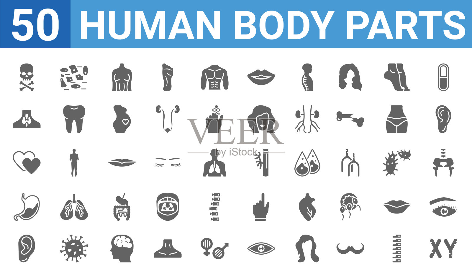 一组50个人体部位的网络图标。填充字形图标,如男性染色体,人类头骨与交叉的骨头,耳垂侧视图,人类腹部,心脏黑色的情人,甲状腺,皮肤插画图片素材