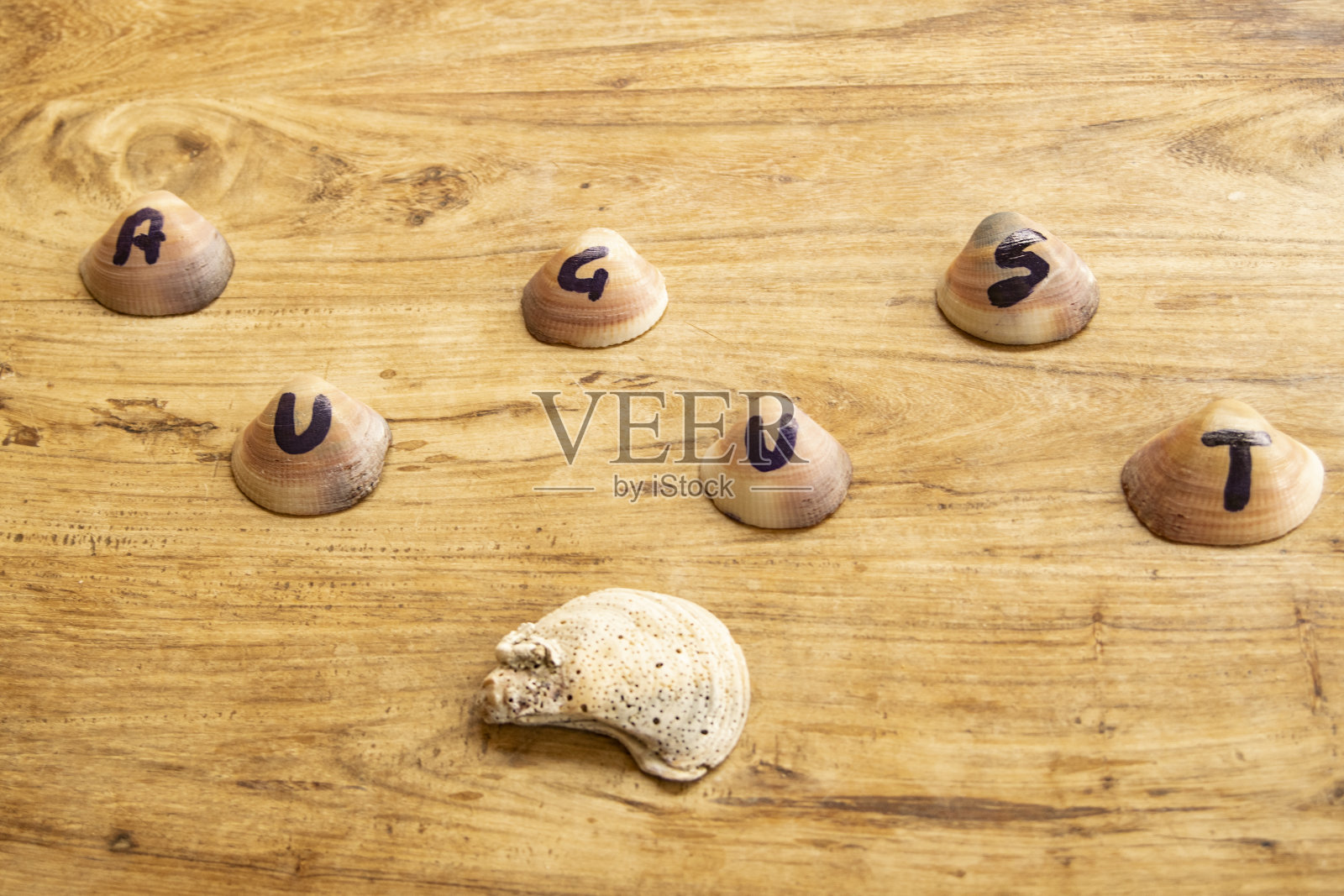 八月写在贝壳上照片摄影图片