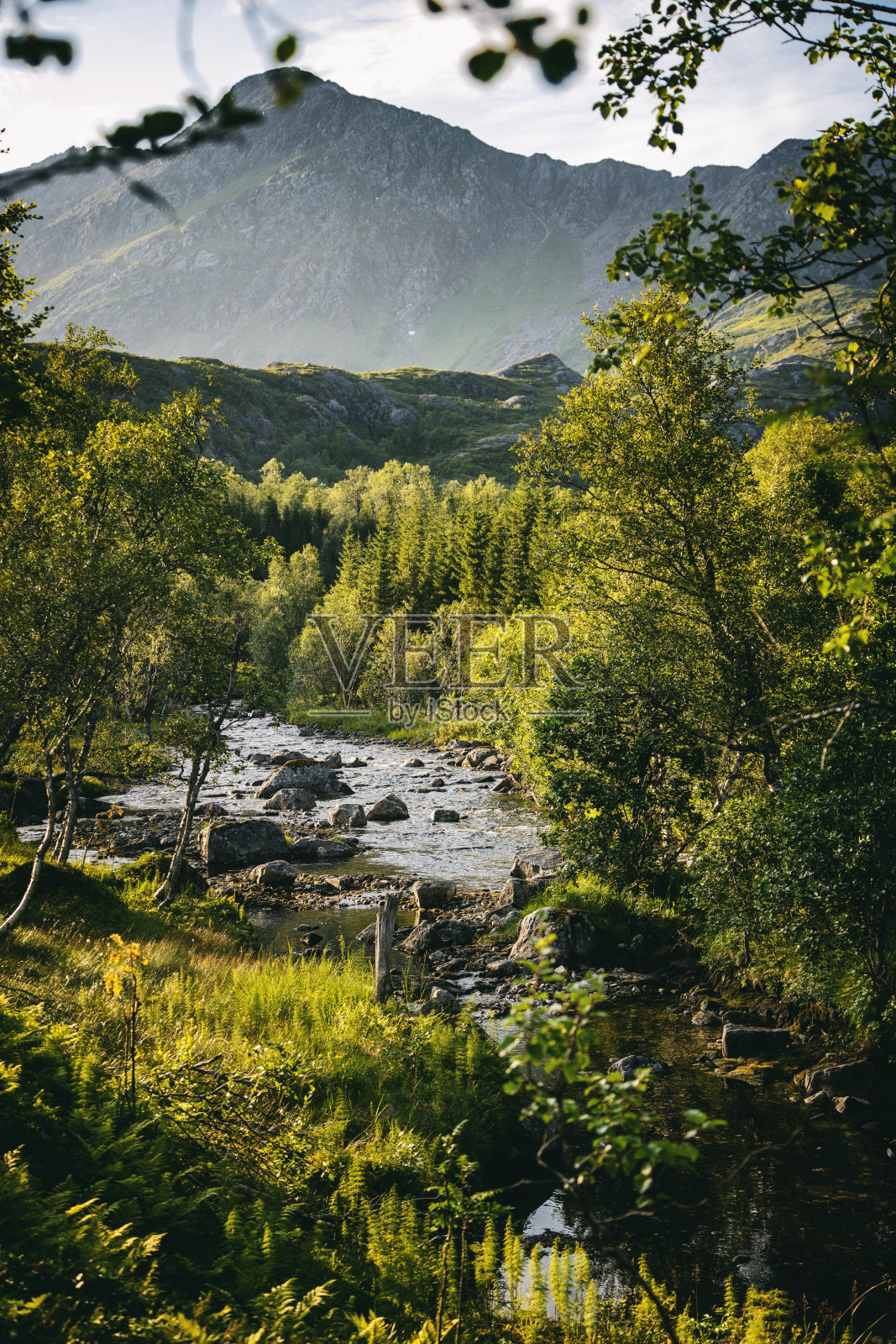 美丽的斯堪的纳维亚风景、山脉和挪威韦斯特拉伦群岛上的湖泊照片摄影图片
