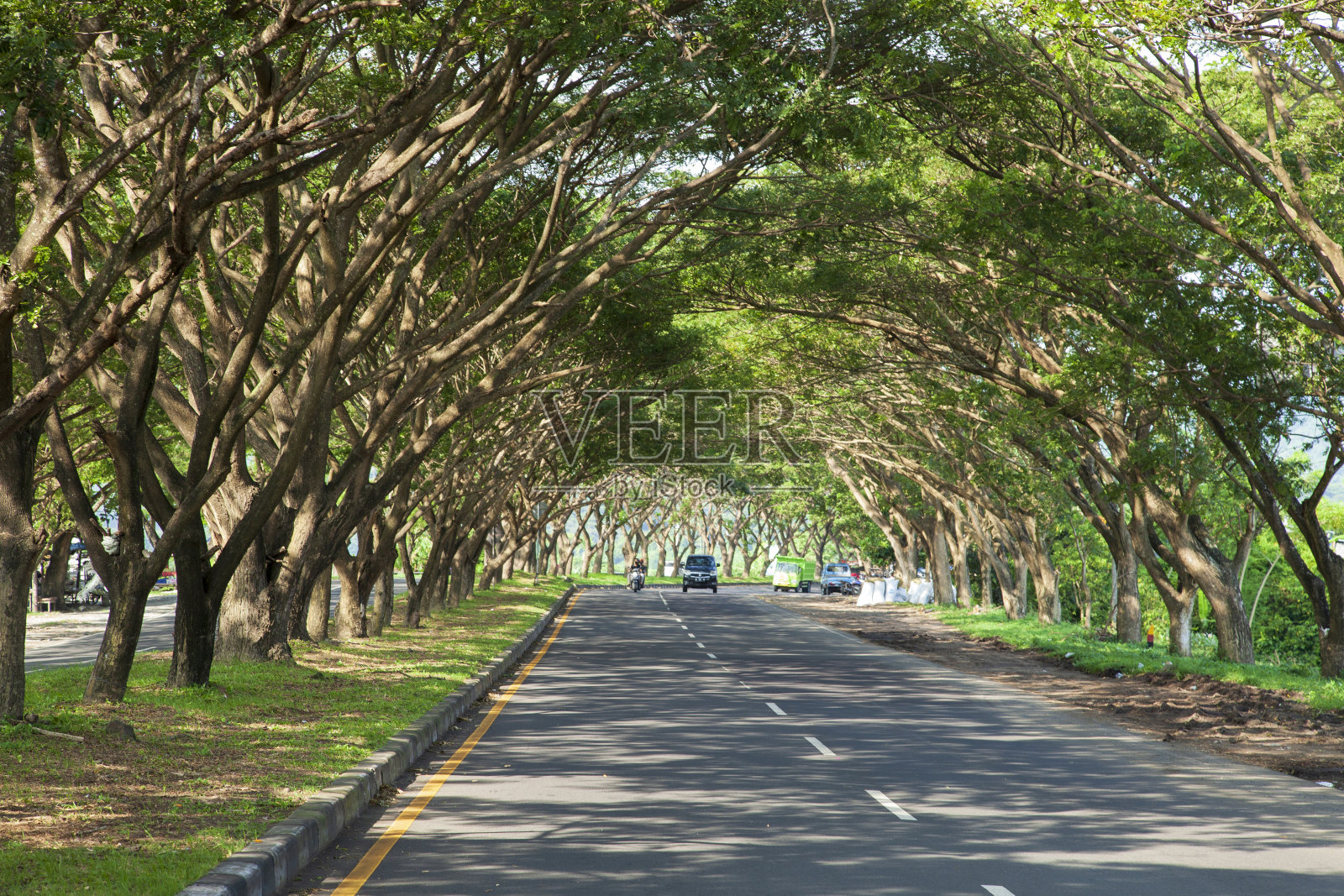 印度尼西亚东巴厘岛达万的古纳克萨的天然树木隧道。这是从登巴萨向东北果阿拉瓦附近的主要道路,通往巴厘岛东海岸的坎迪达萨。照片摄影图片