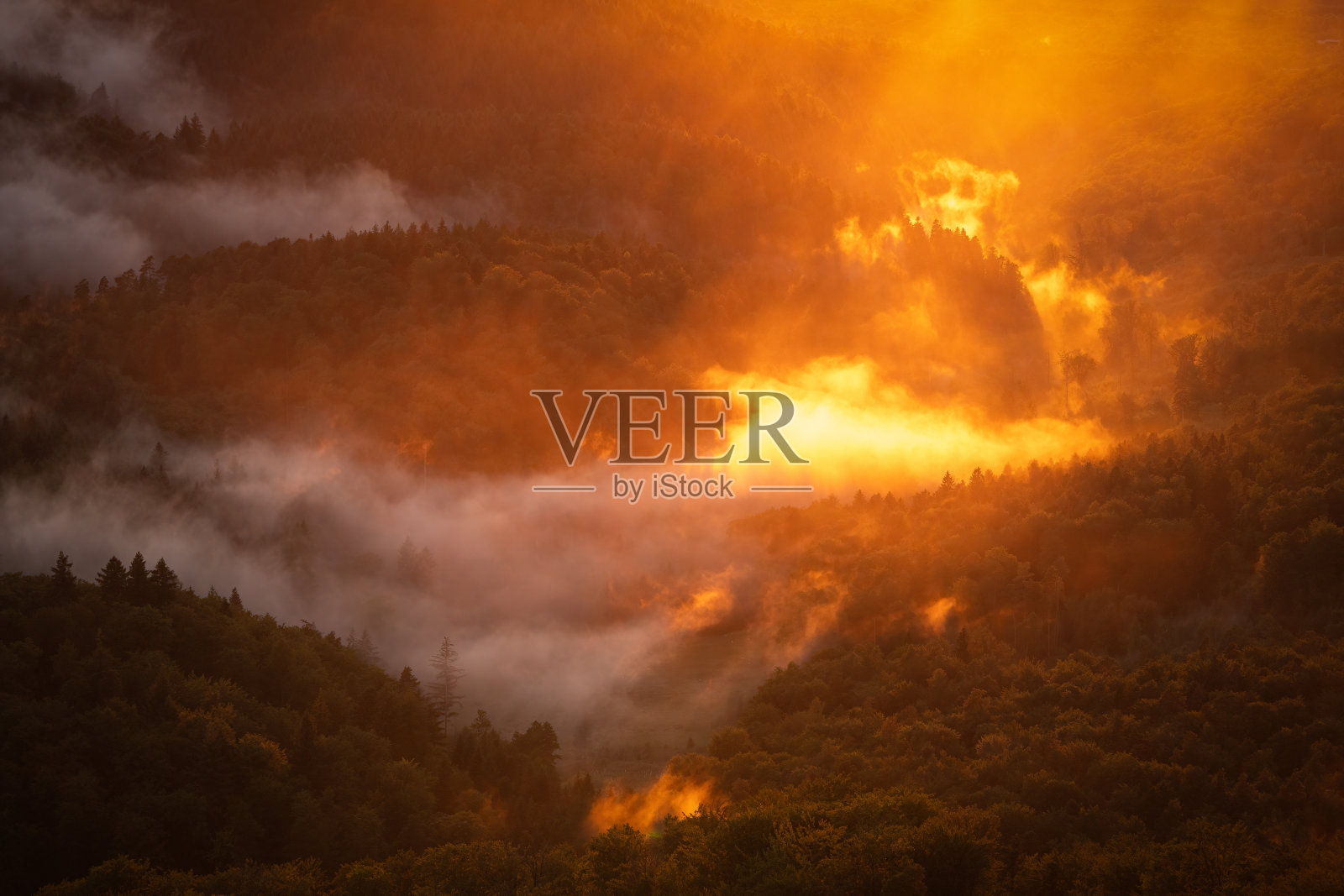 夕阳的光芒让黑森林里的森林森林里升起的蒸汽燃烧起来照片摄影图片