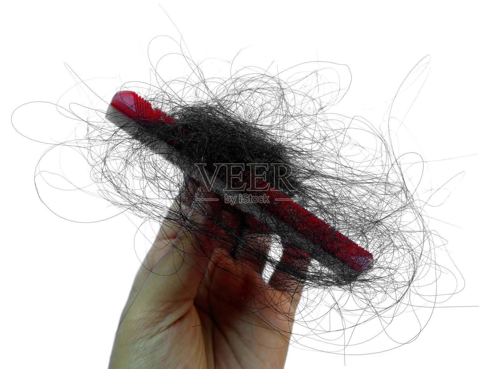 白色背景上的脱发。梳头后脱发。脱发问题或头发每天脱落照片摄影图片