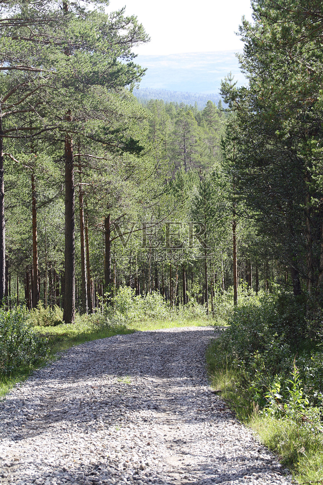 土路。照片摄影图片