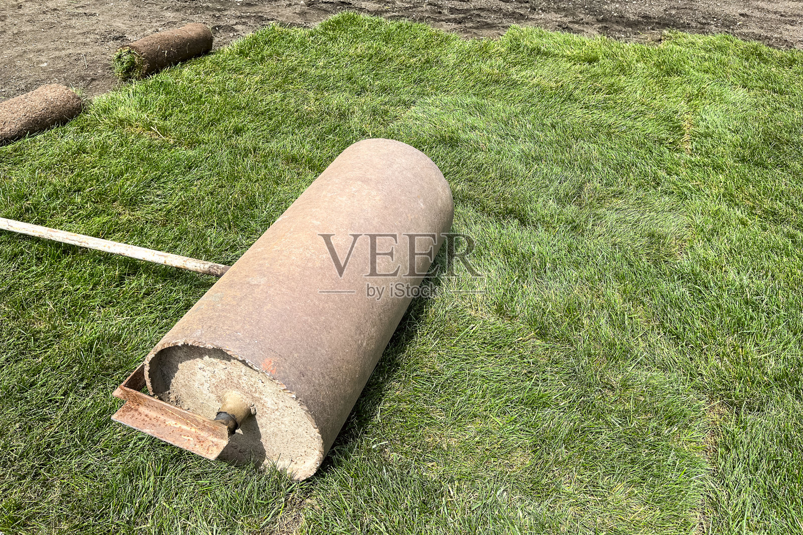 铺设滚动草坪,美化后院,草坪特写照片摄影图片