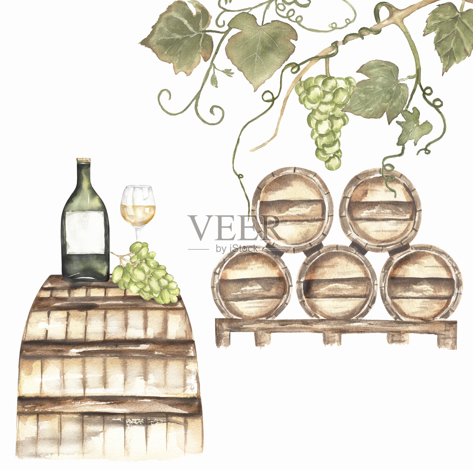 绿油油的葡萄田景观,丰收的美酒瓶身。水彩手绘葡萄和木桶。意大利葡萄园概念设计。法国葡萄酒插图。秋天的果实收获剪贴画。插画图片素材