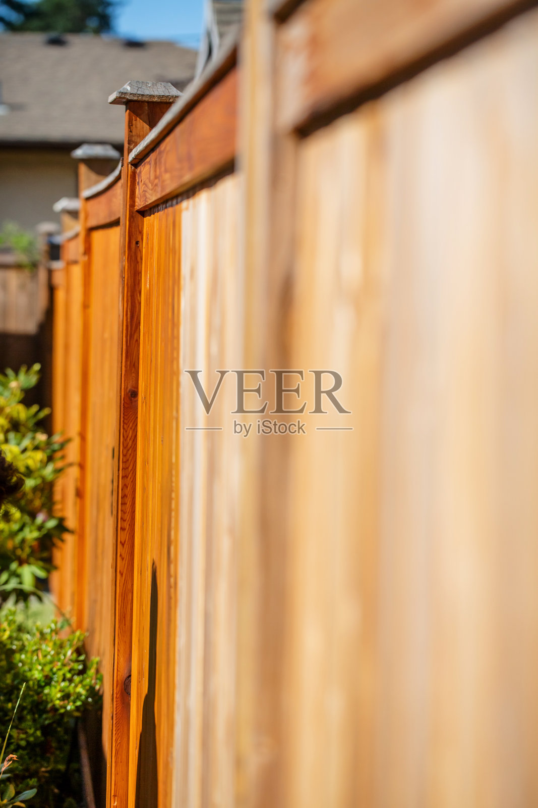 进行中栅栏染色照片摄影图片