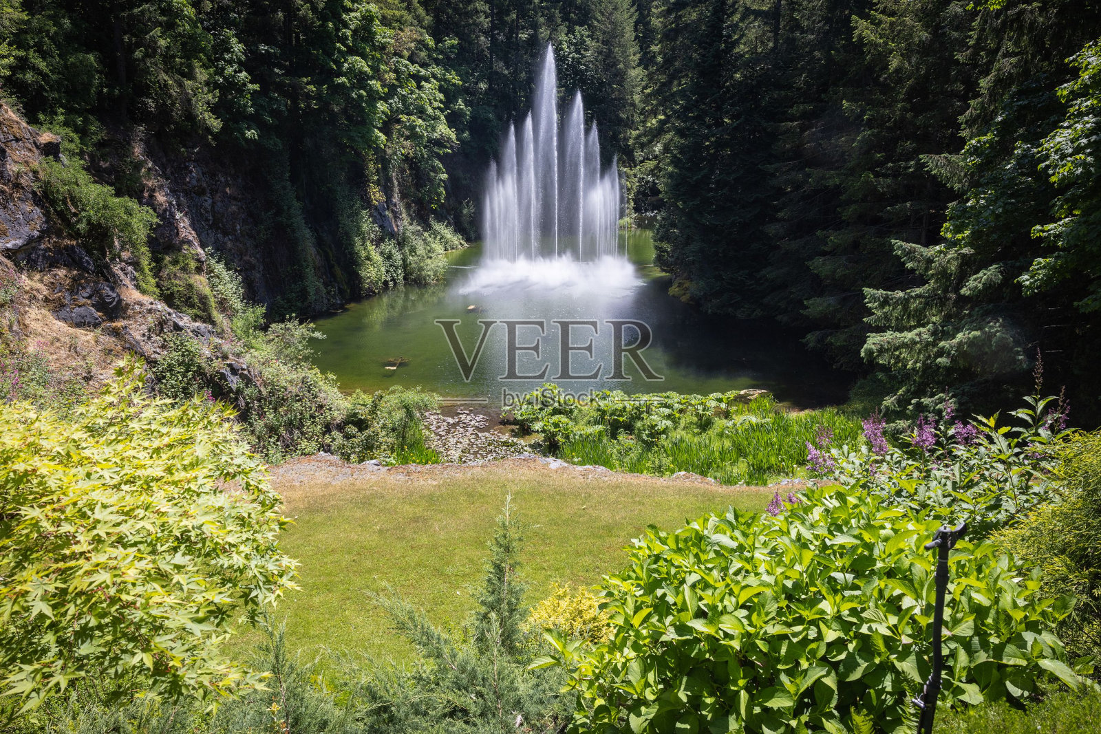 布查特花园的装饰性移动喷泉。照片摄影图片