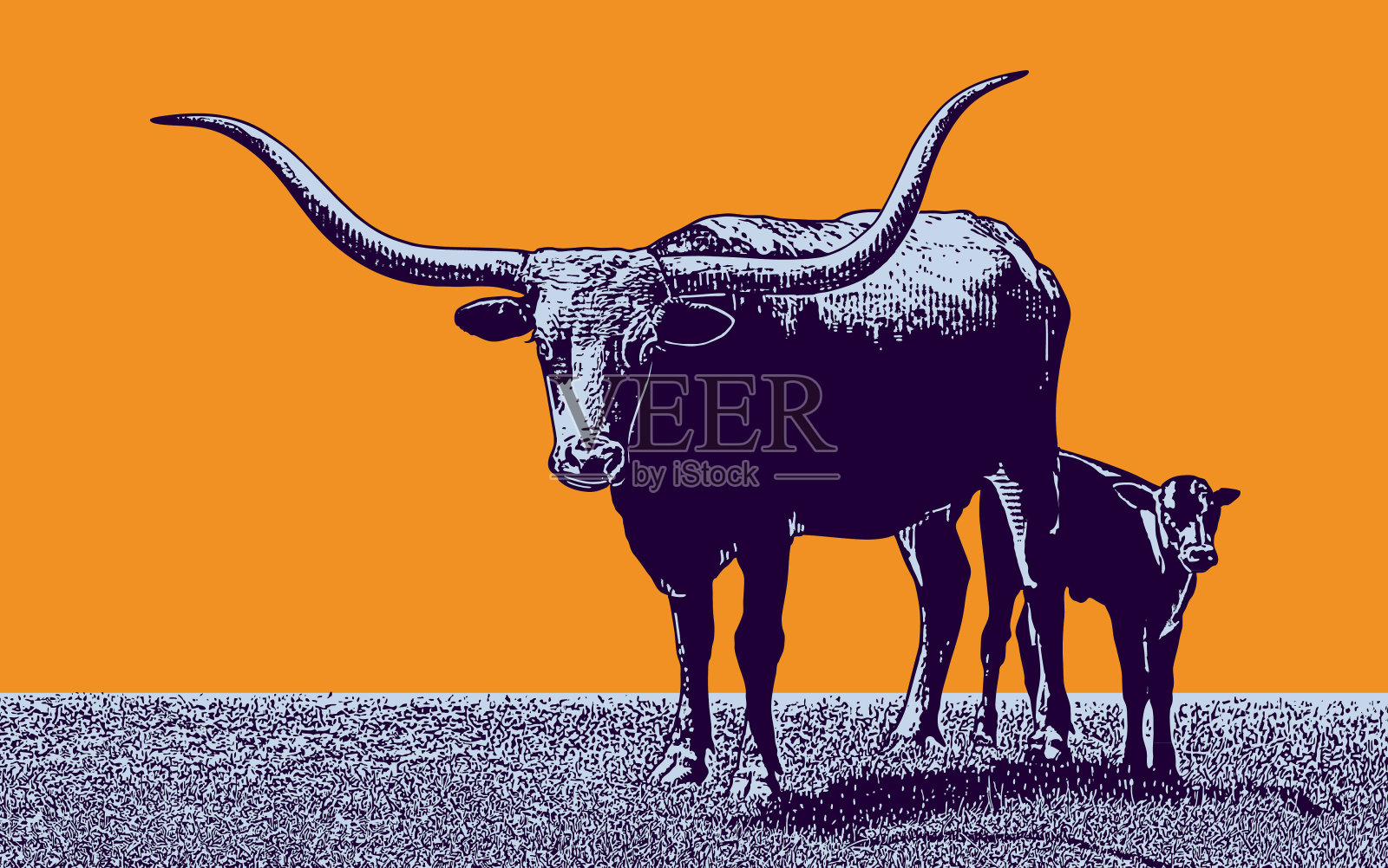 德克萨斯州长角牛和牛犊插画图片素材