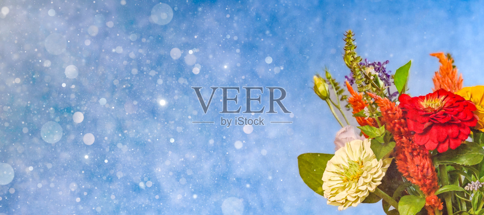 花照片摄影图片