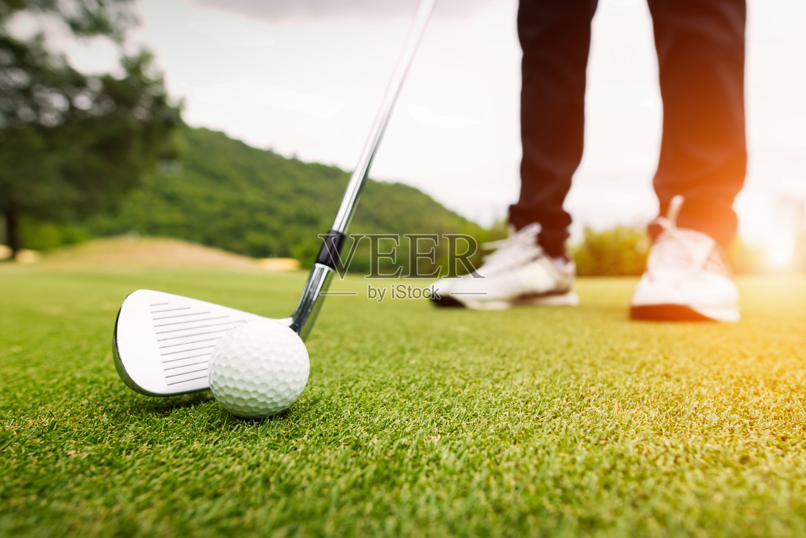 绿草地上的高尔夫球,准备在高尔夫球杆上击球照片摄影图片