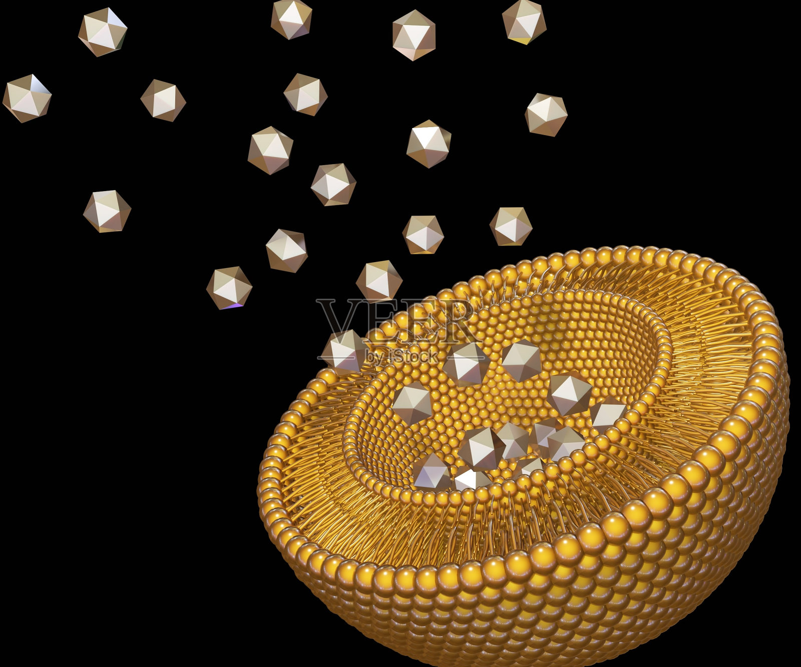 脂质双分子层形成脂质体作为给药系统照片摄影图片